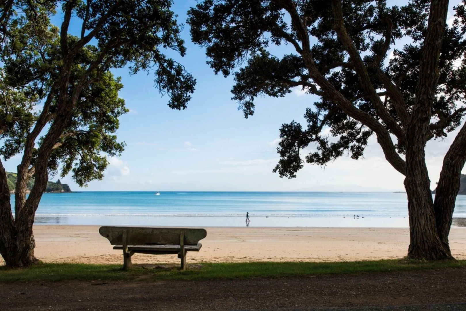 Newly renovated Oneroa beach view house