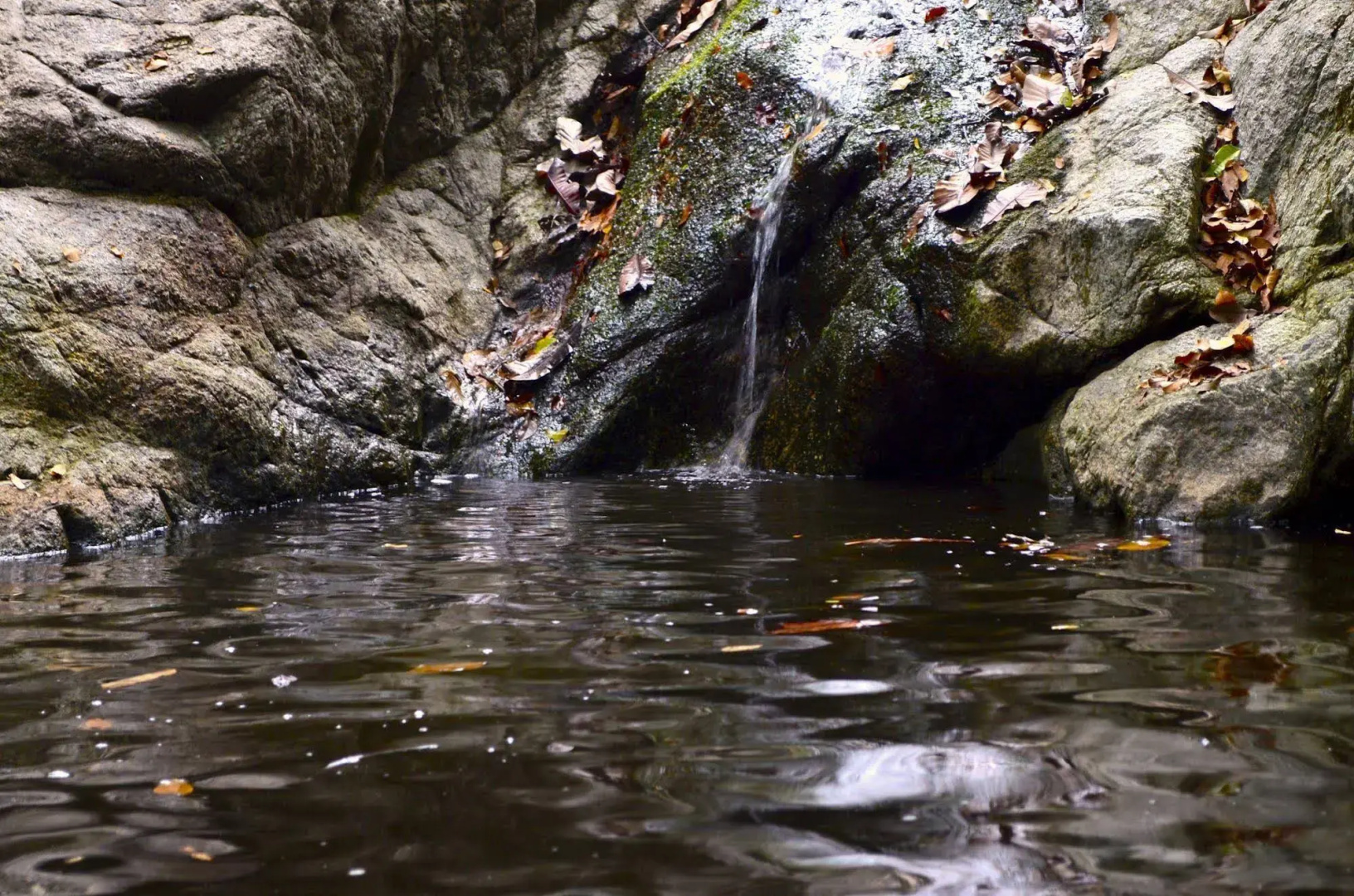 Posadas Ecoturisticas San Rafael