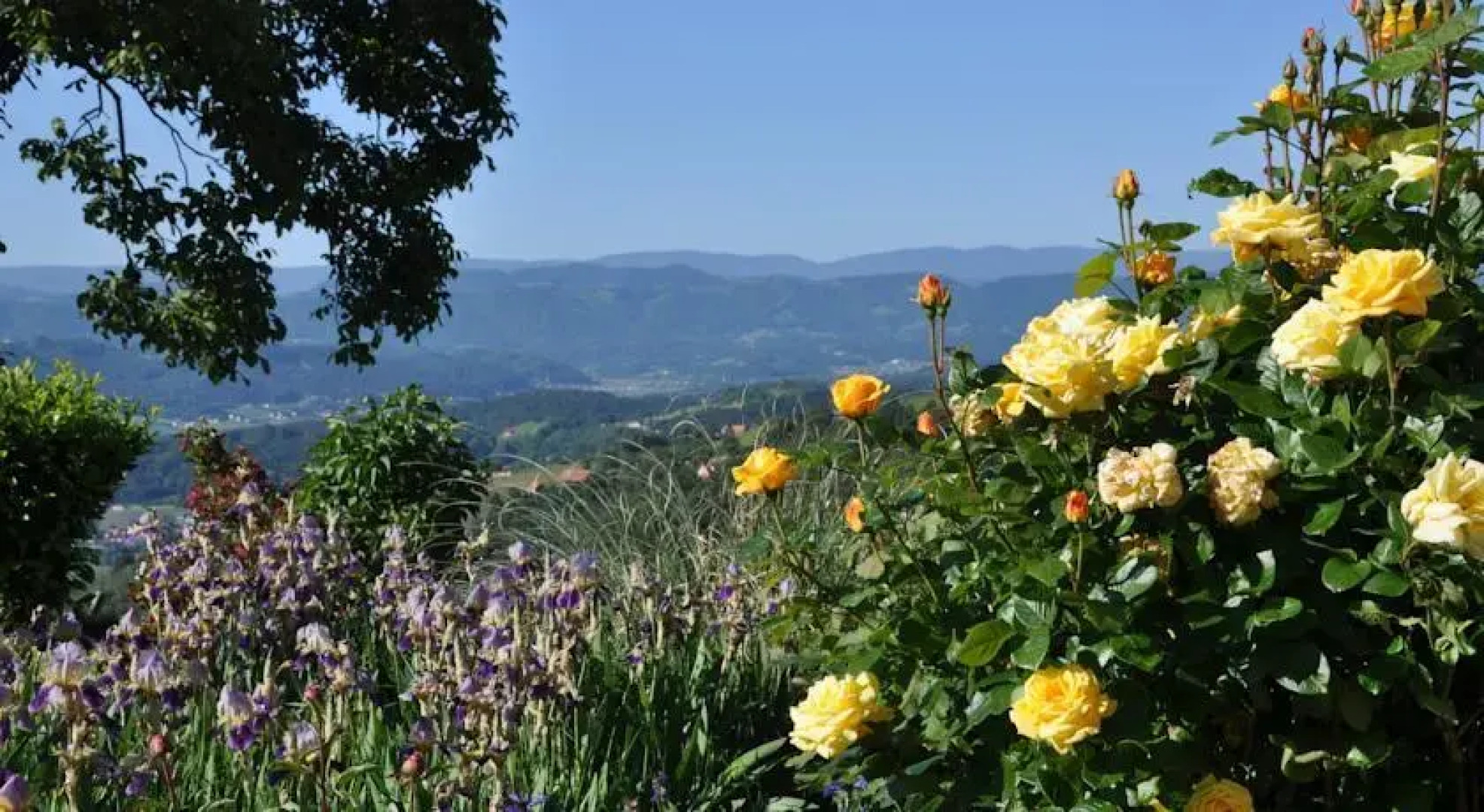 Ferienwohnung Weingut Gerngross