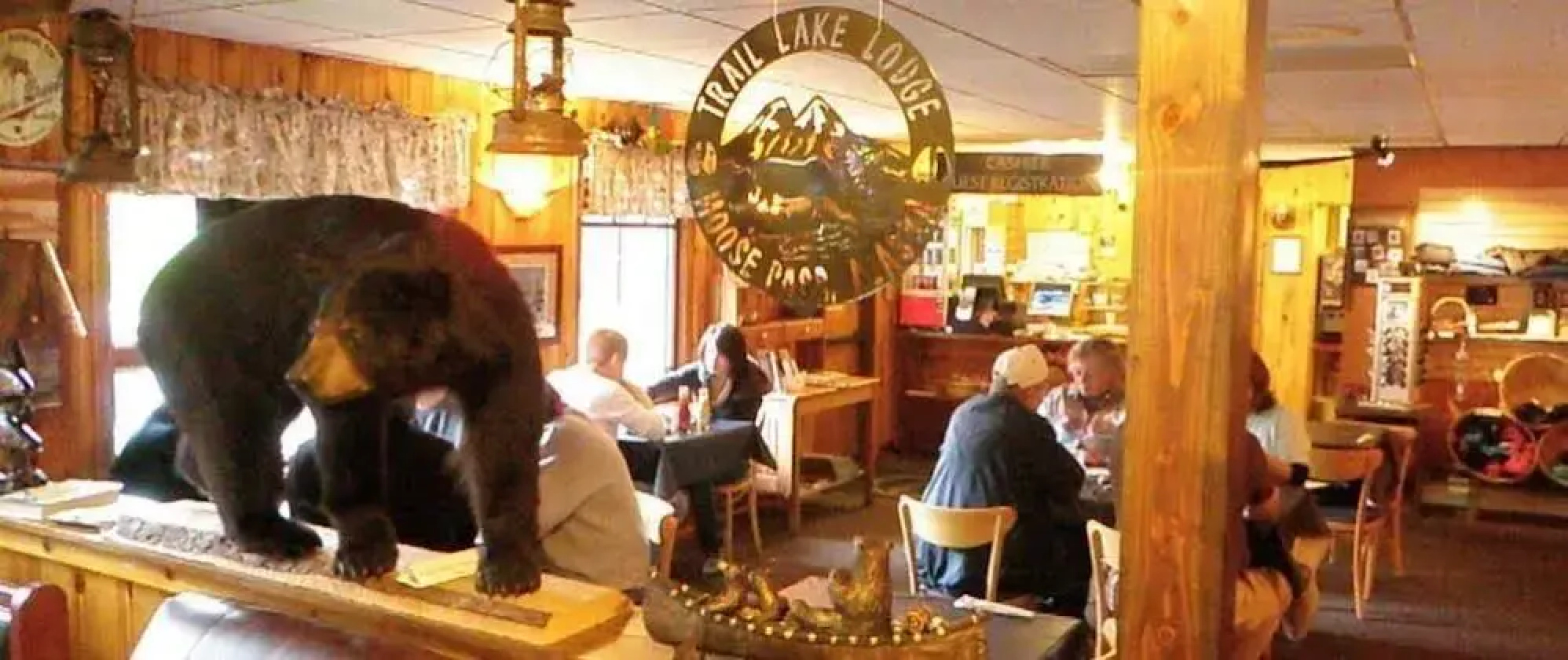 Trail Lake Lodge