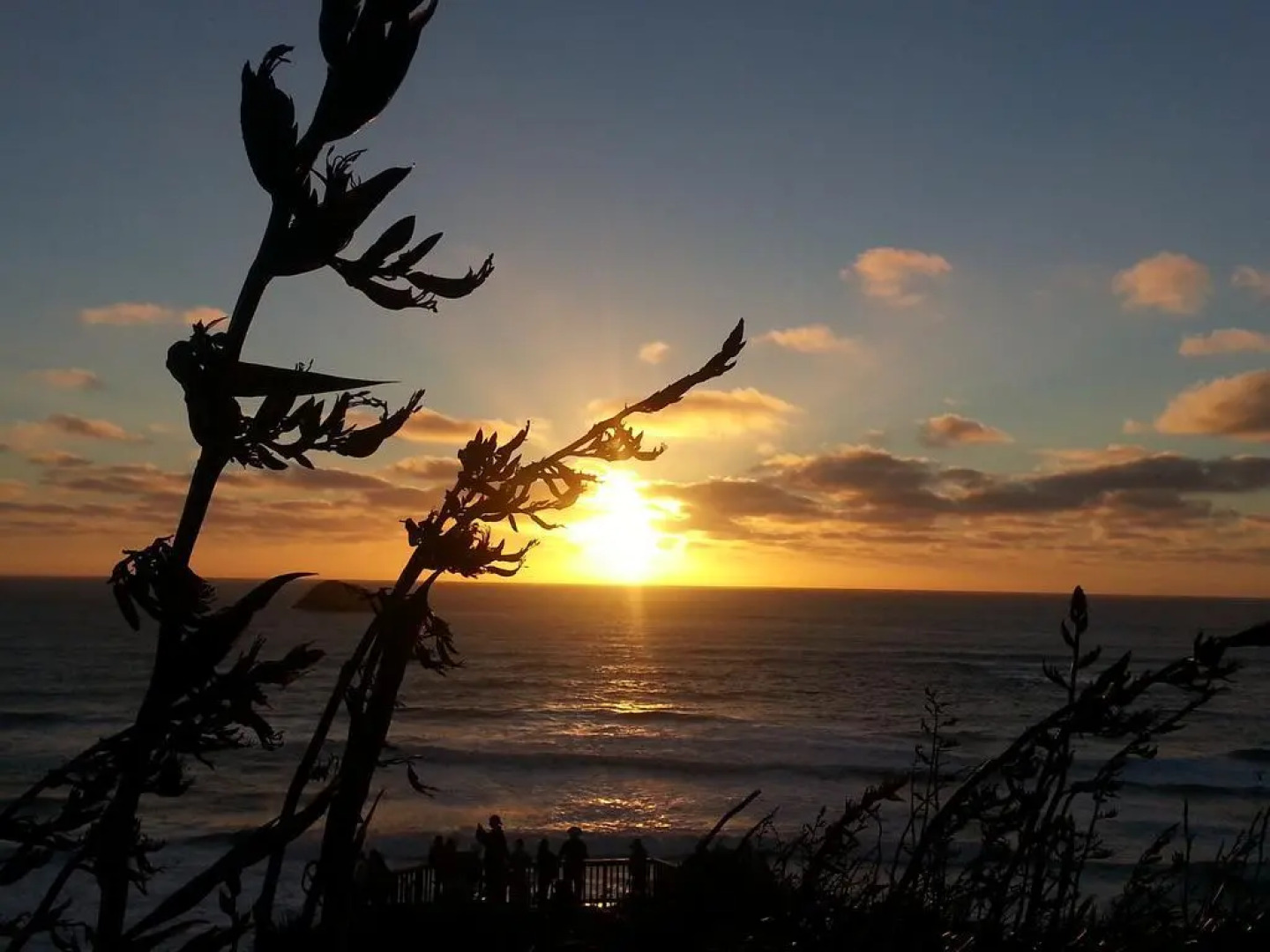 Lush & Co Auckland Bed & Breakfast