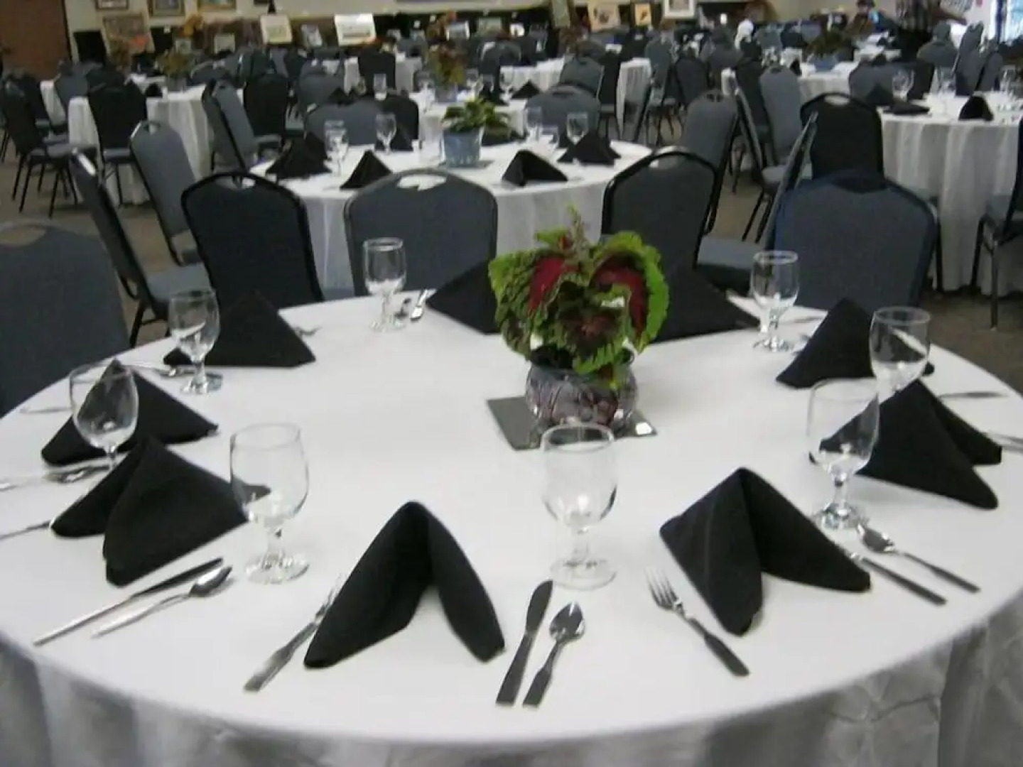 Choteau Stage Stop Inn