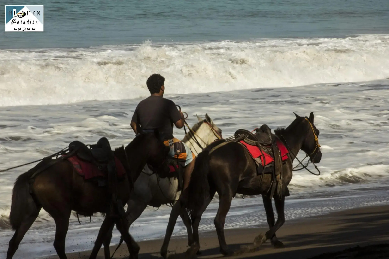 Hidden Paradise Lodge