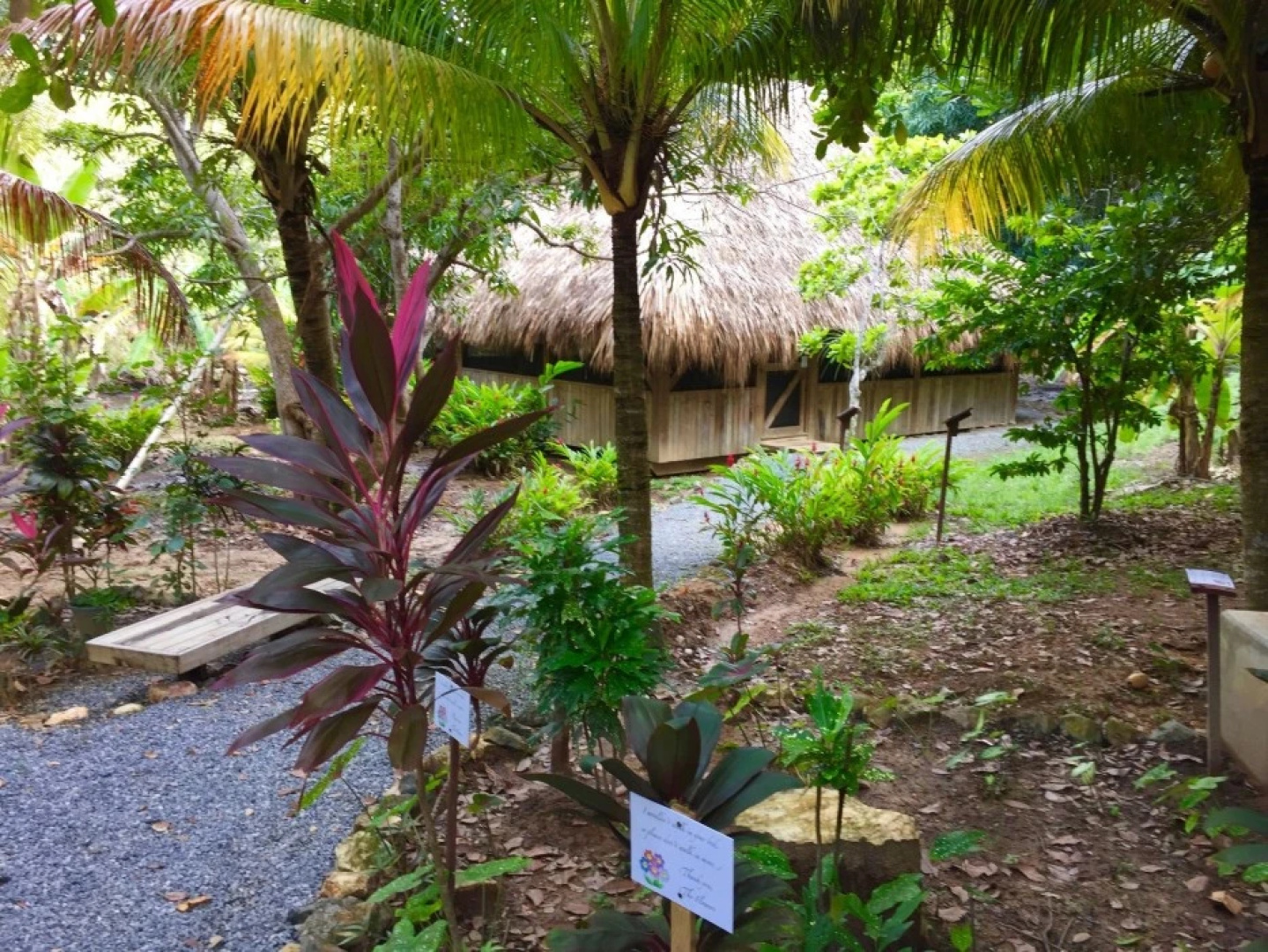 Upachaya Eco-Lodge & Wellness Resort