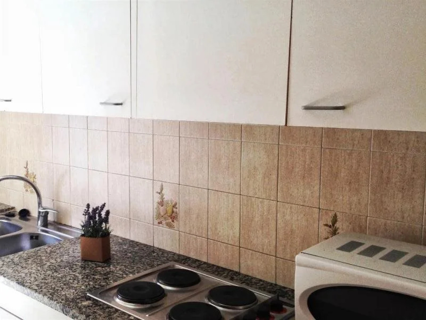 Apartamentos Botanic