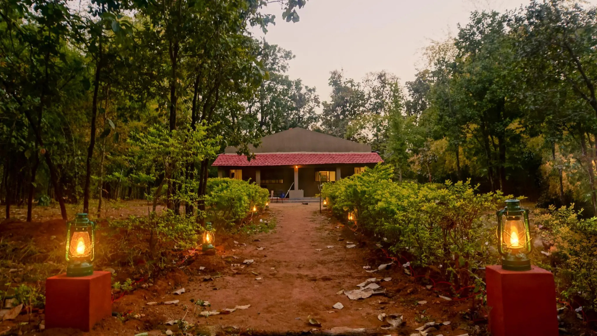 Wild Haven Resort