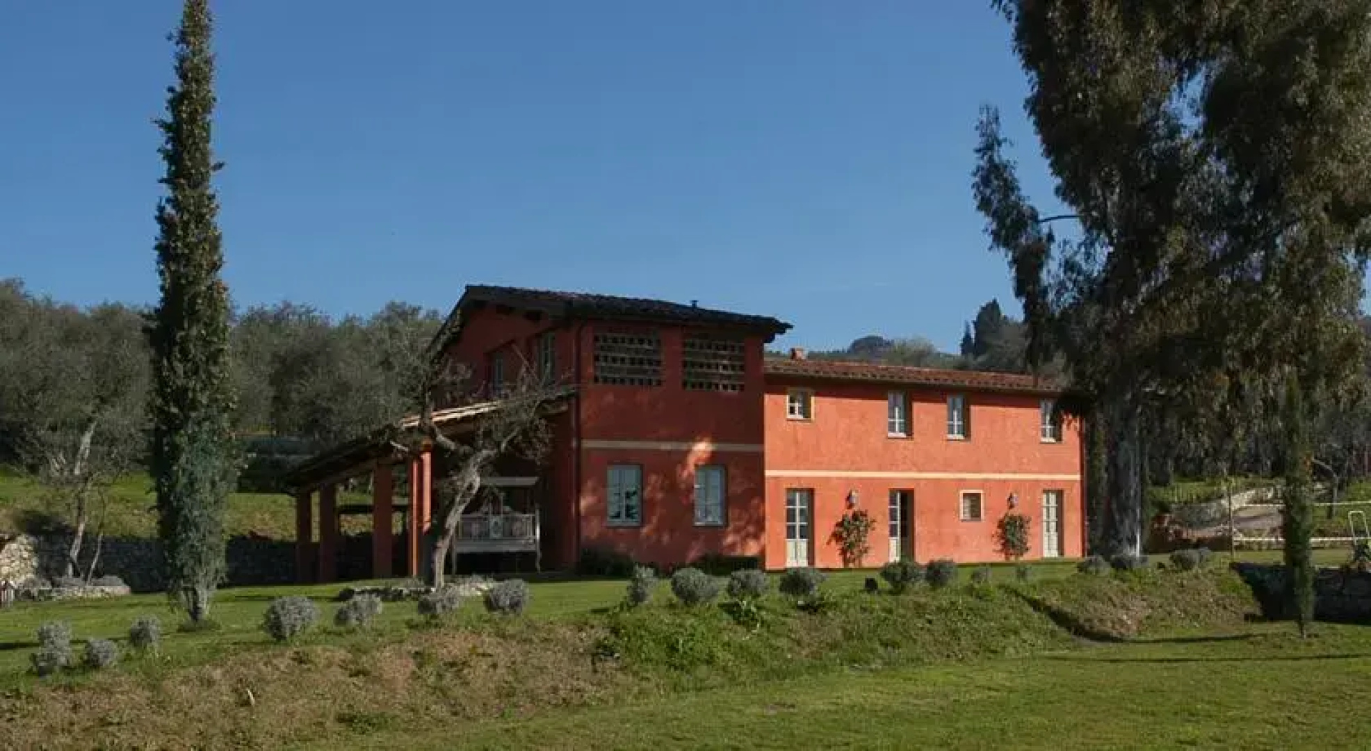 La vigna