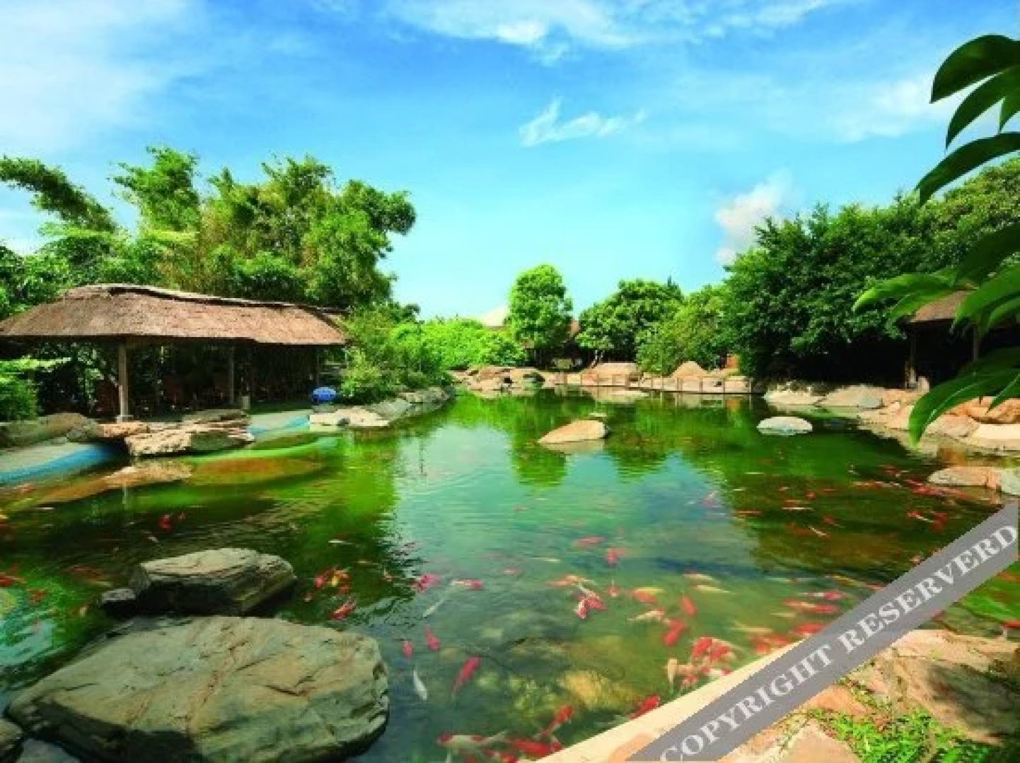 Techeng Island Resort