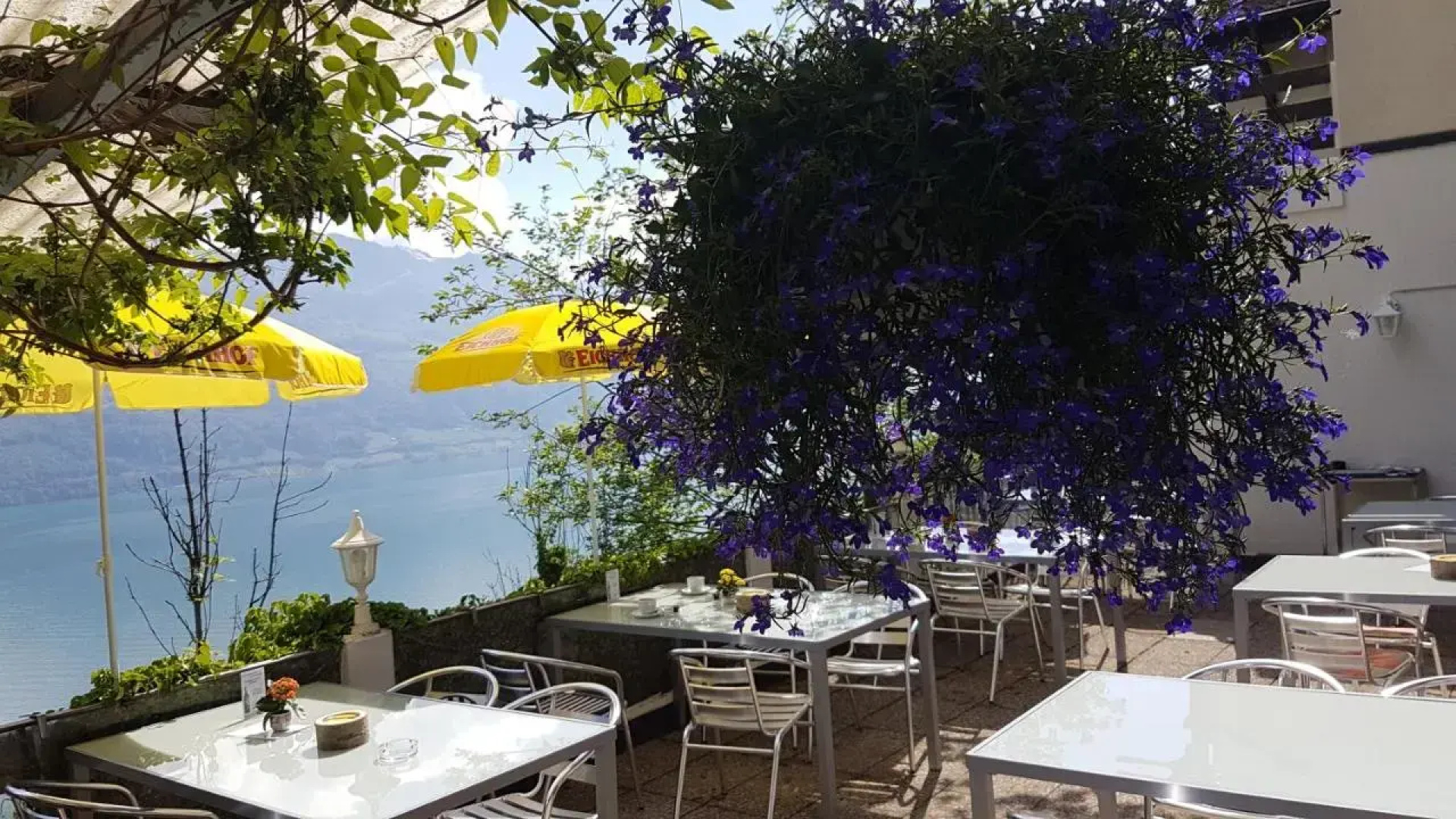 Hotel Restaurant Platten
