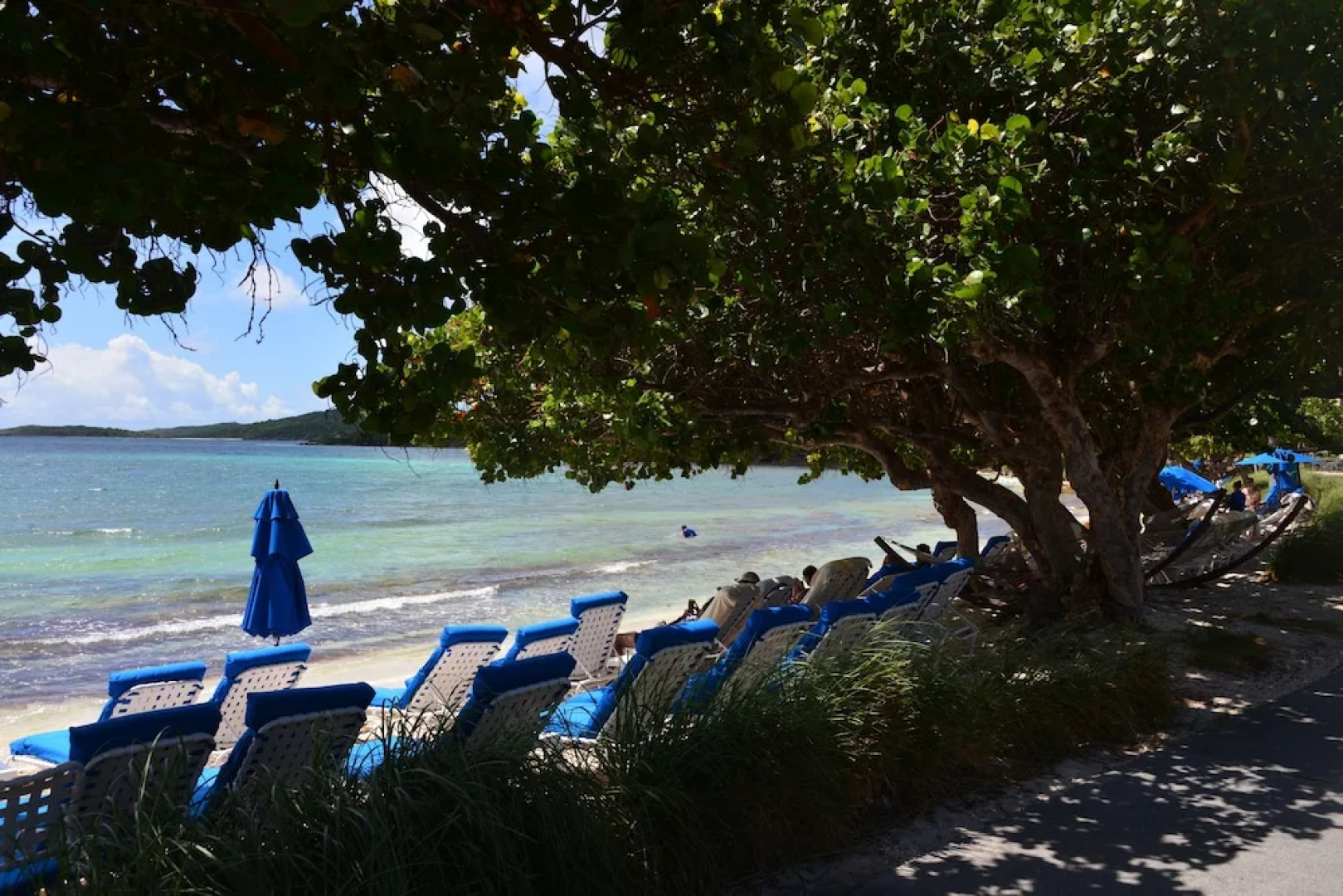 Ritz Carlton Club 2BR Residence