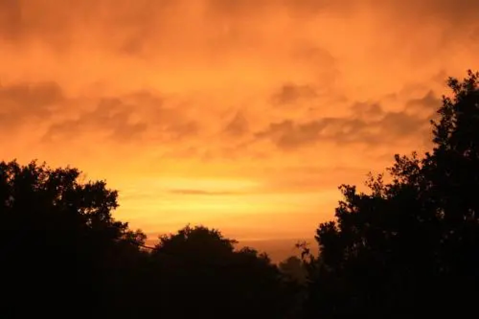 Chambre Dhôte La Plaine