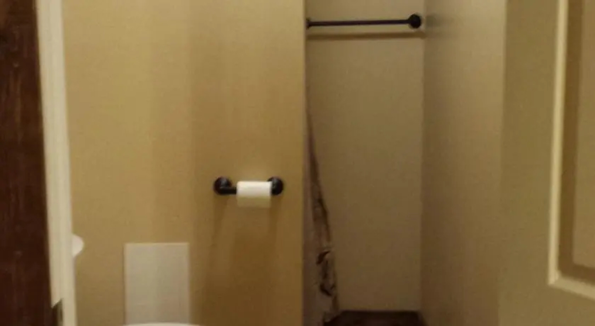 Ski / Hike / Bike / Sleep - Seneca Trail Snowshoe