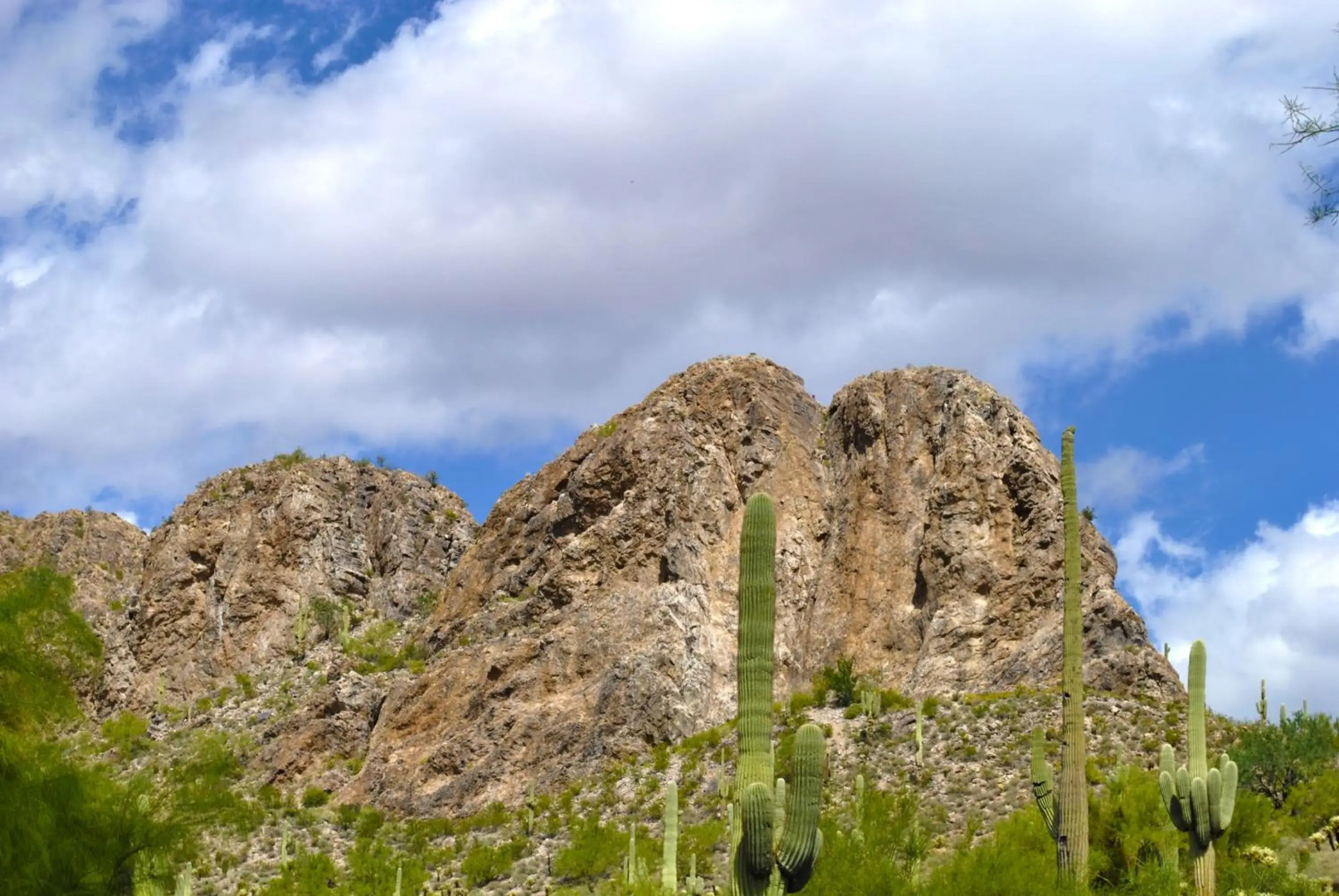 Gold Canyon Golf Resort & Spa