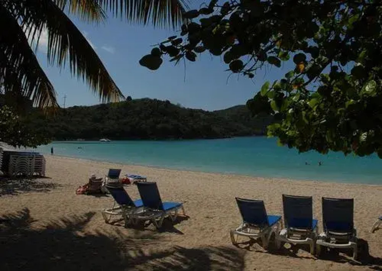 Island Beach Comber
