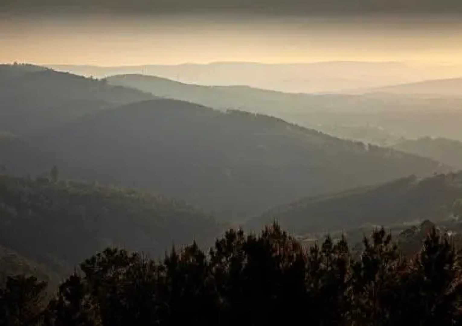 12 Meses Naturalmente