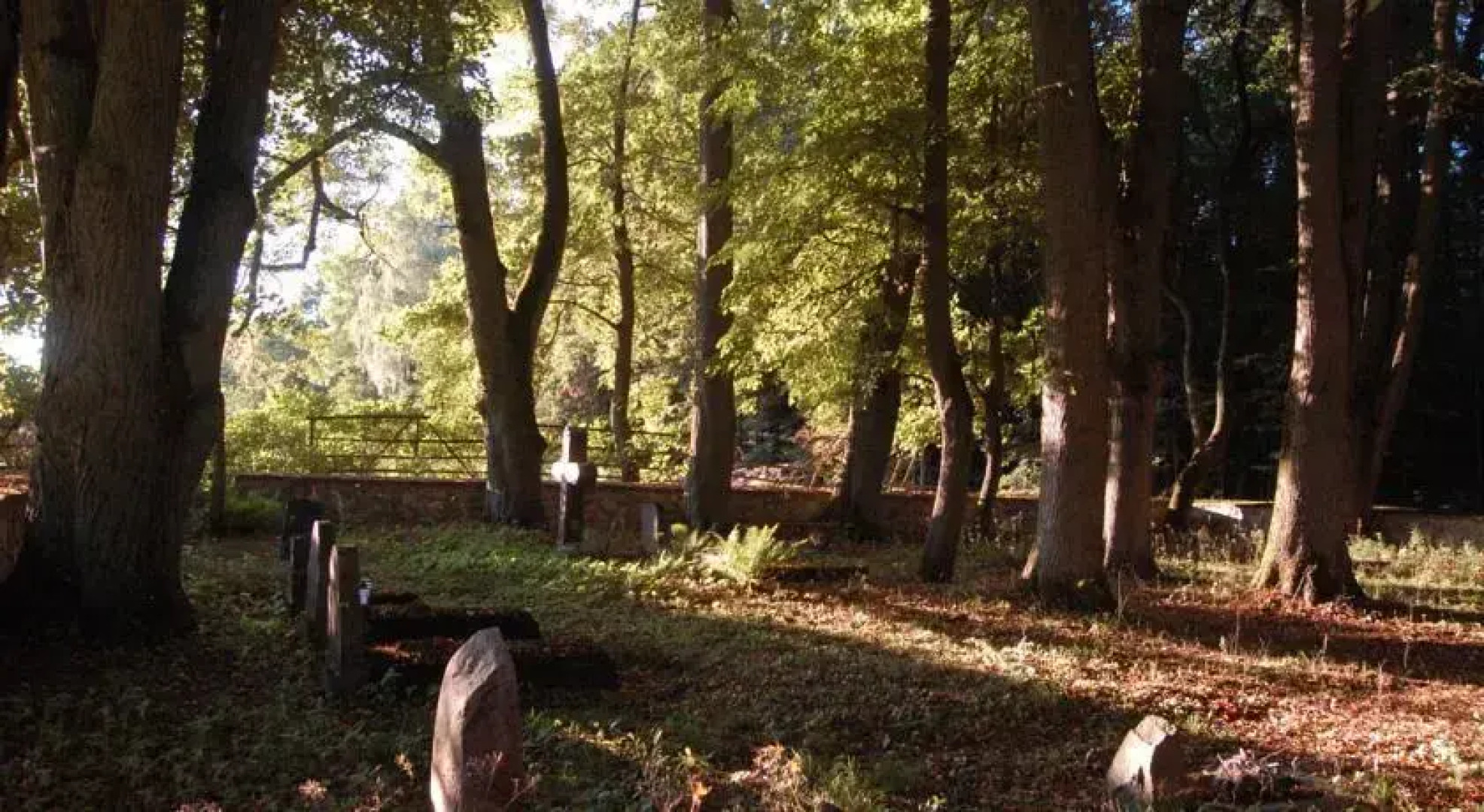 Stara Papiernia Zielony Lasek