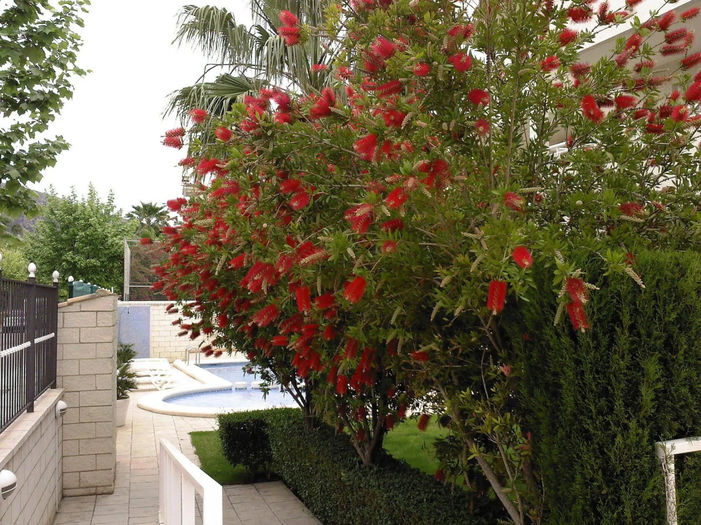 Las Terrazas de Albir