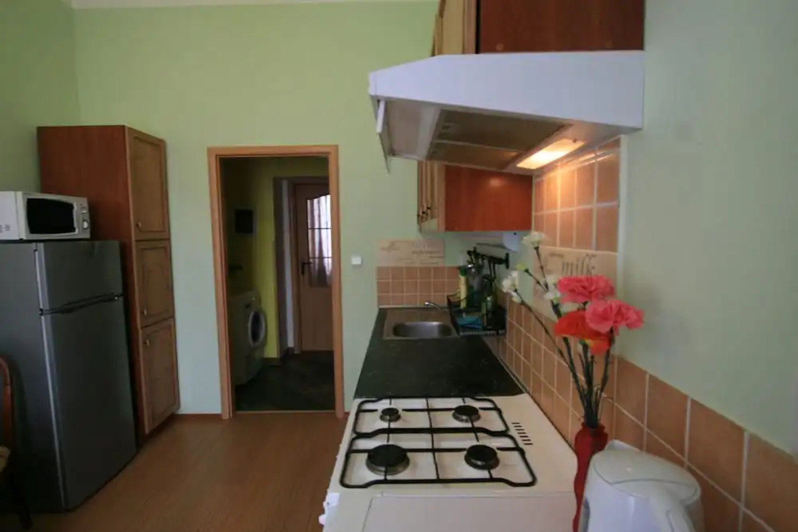 Apartment Zeyerova