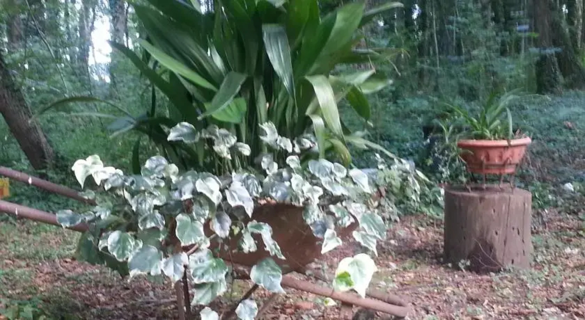 Agriturismo La Roverella