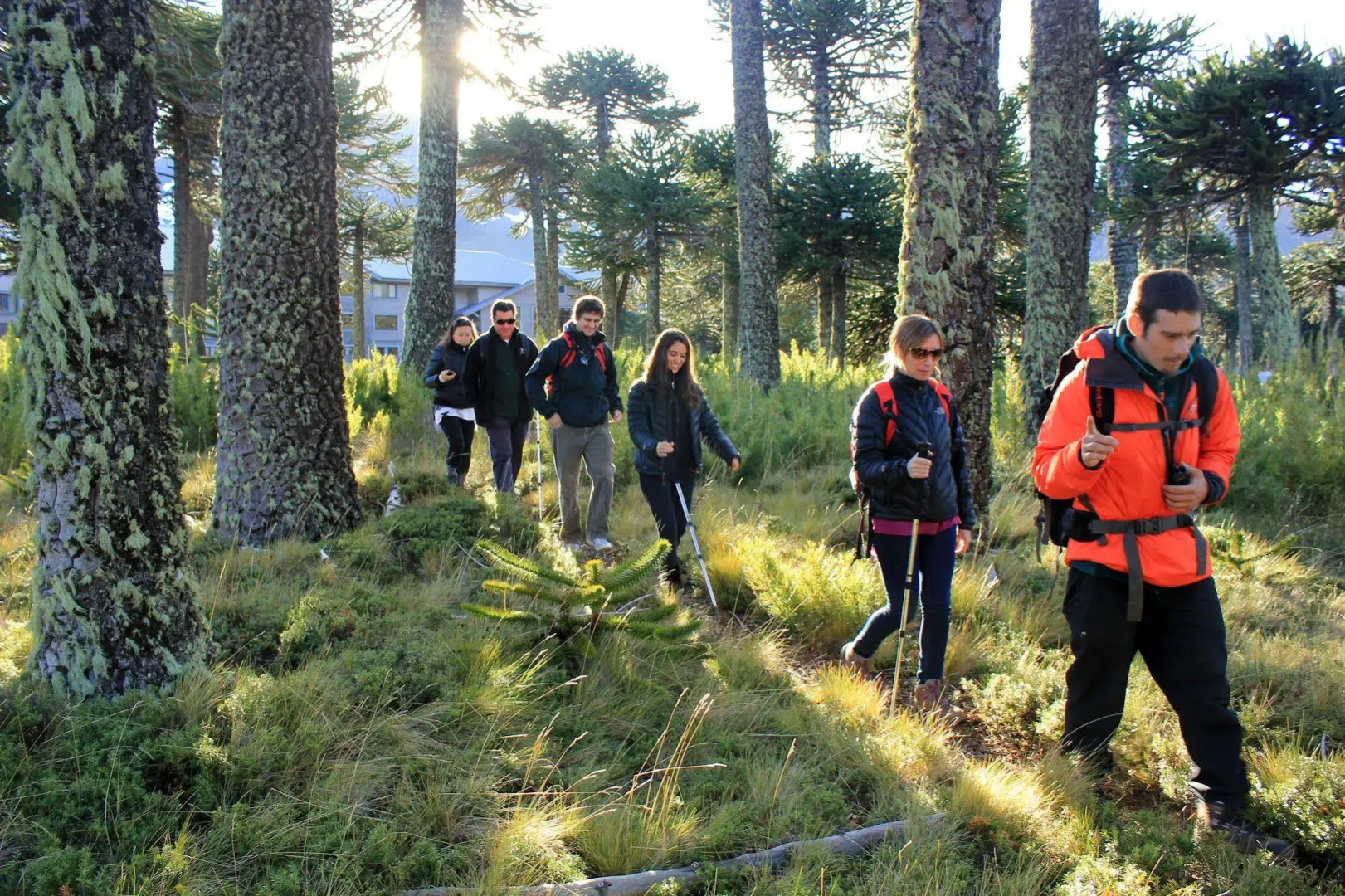 Valle Corralco Hotel & Spa