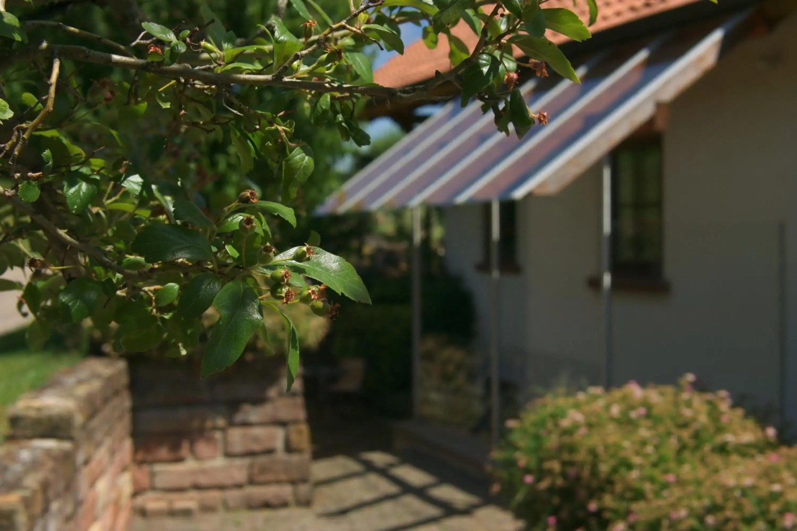 Ferienwohnung Am Wingert