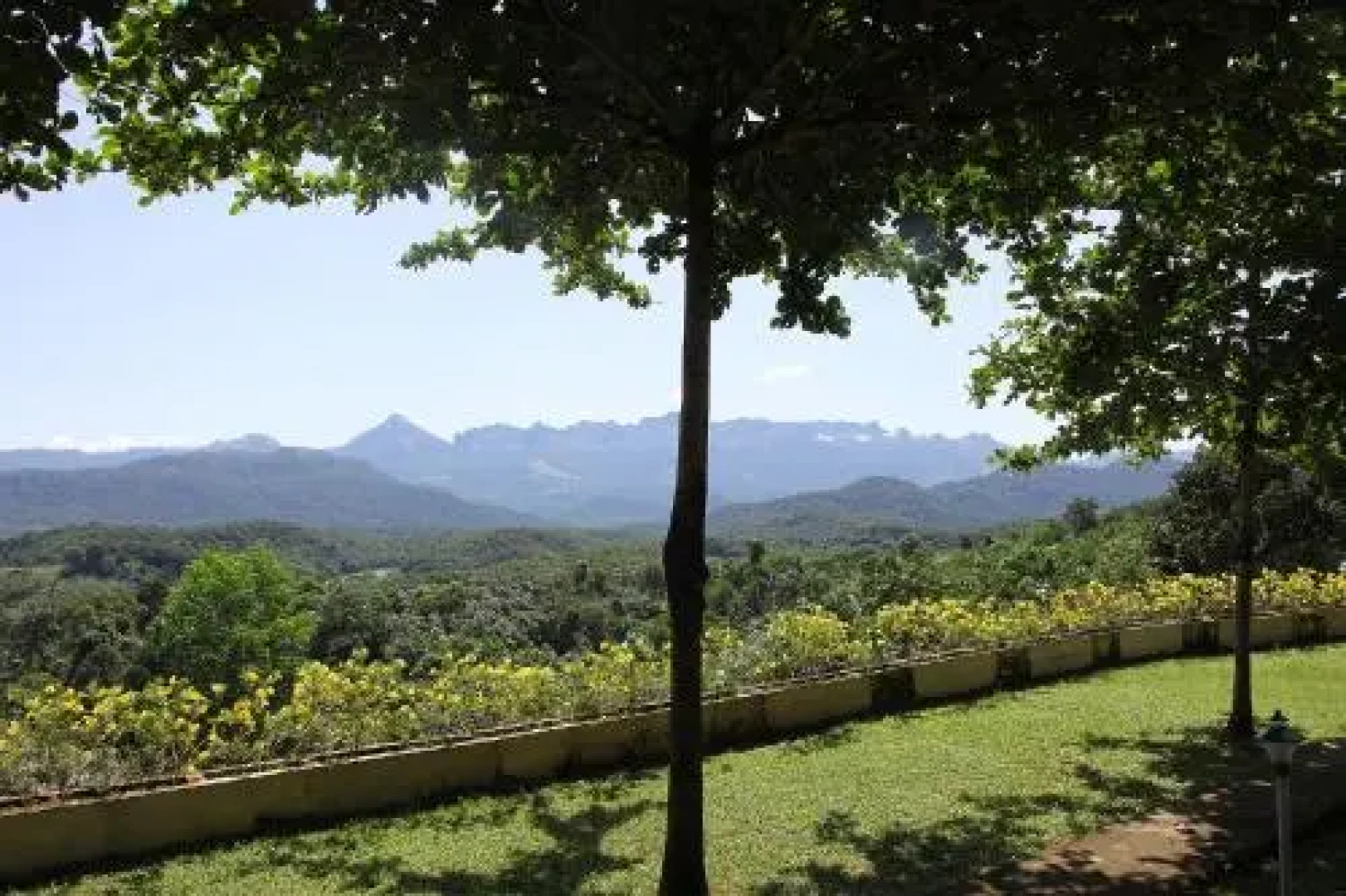 Bio Veda Ayurvedic Hill resort