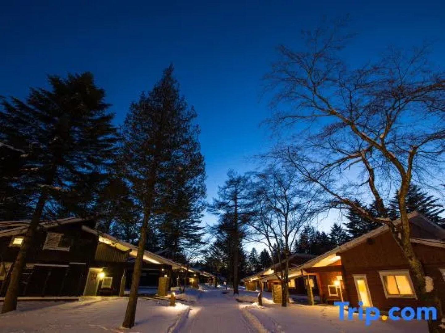 Hotel Route Inn Shinano Omachi Ekimae