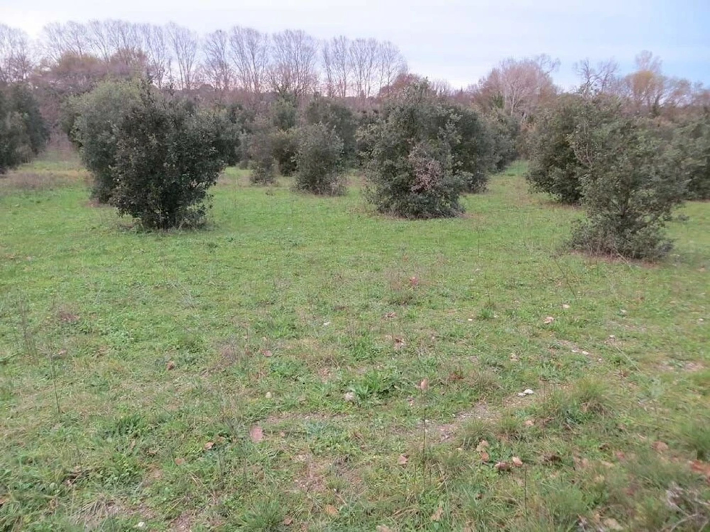 Studios-Hôtel Portes de Petite Camargue