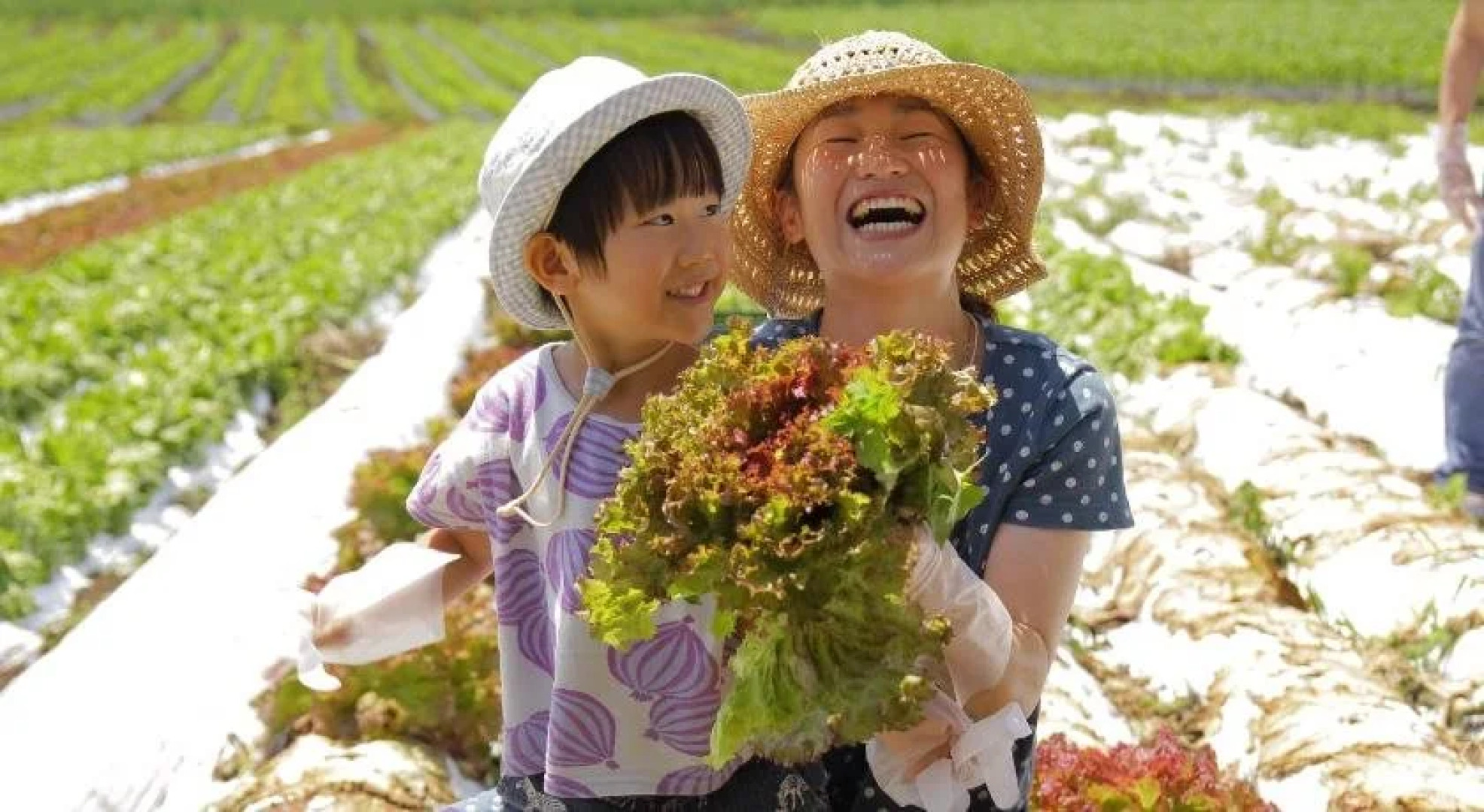 Yatsugatake Grace Hotel