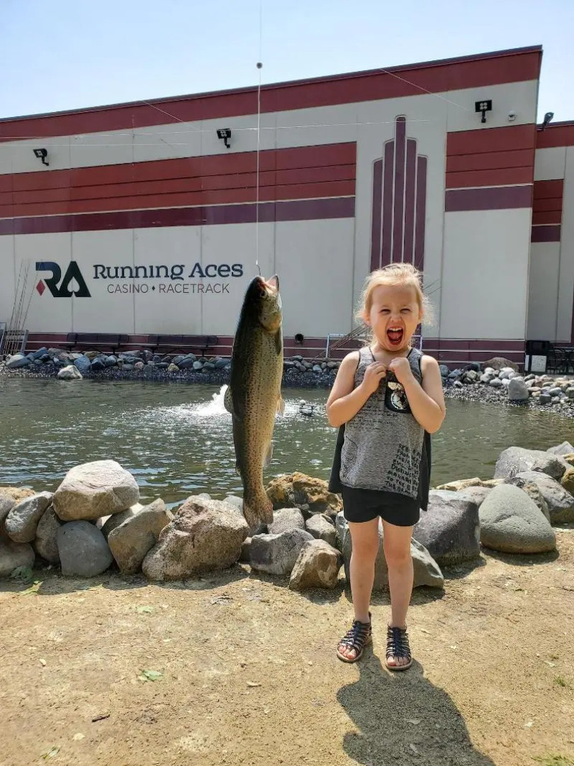 Running Aces Hotel & Casino, Trademark Collection by Wyndham