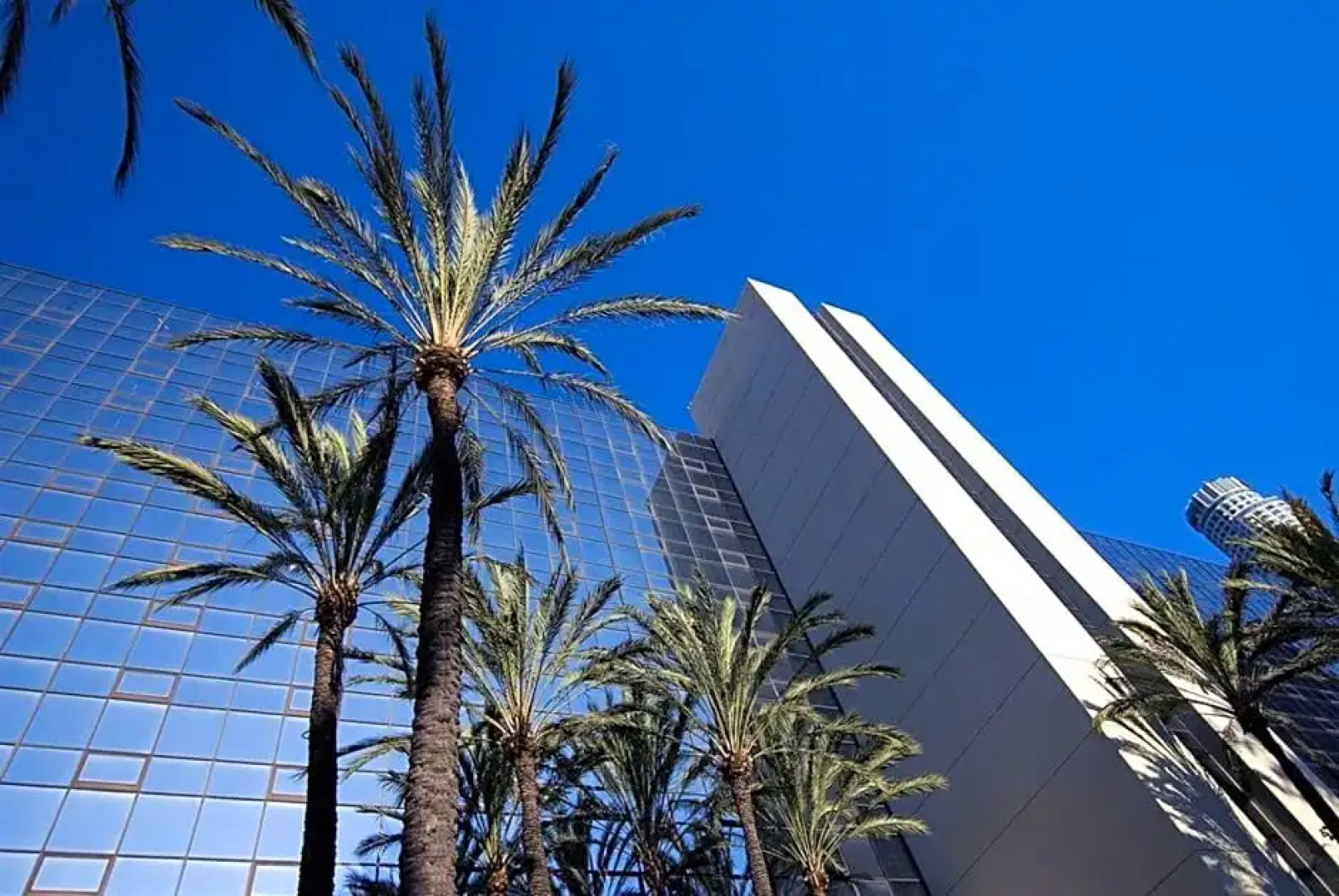 The L.A. Grand Hotel Downtown