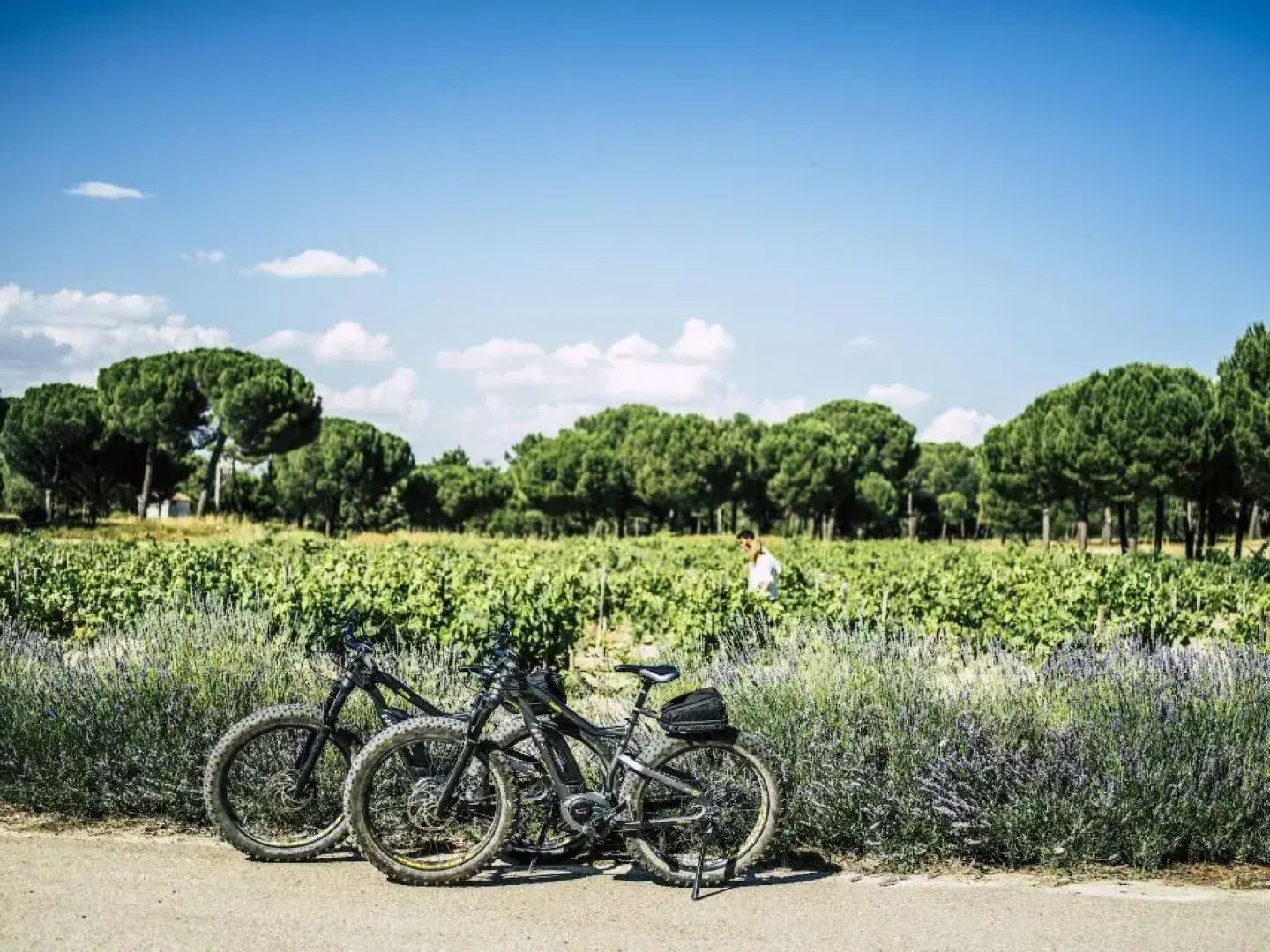 Abadia Retuerta Ledomaine