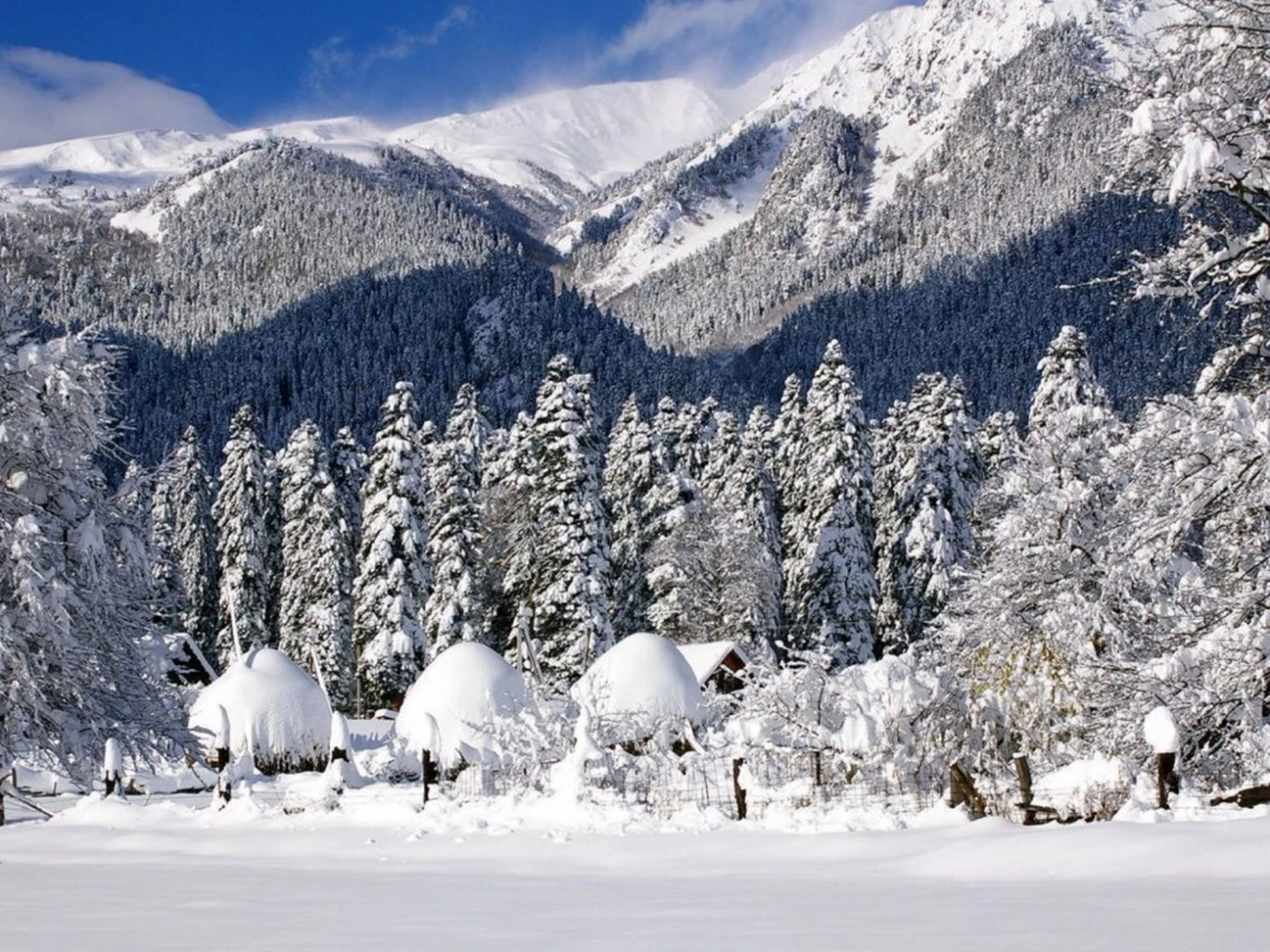 СвяДанио(Архыз)