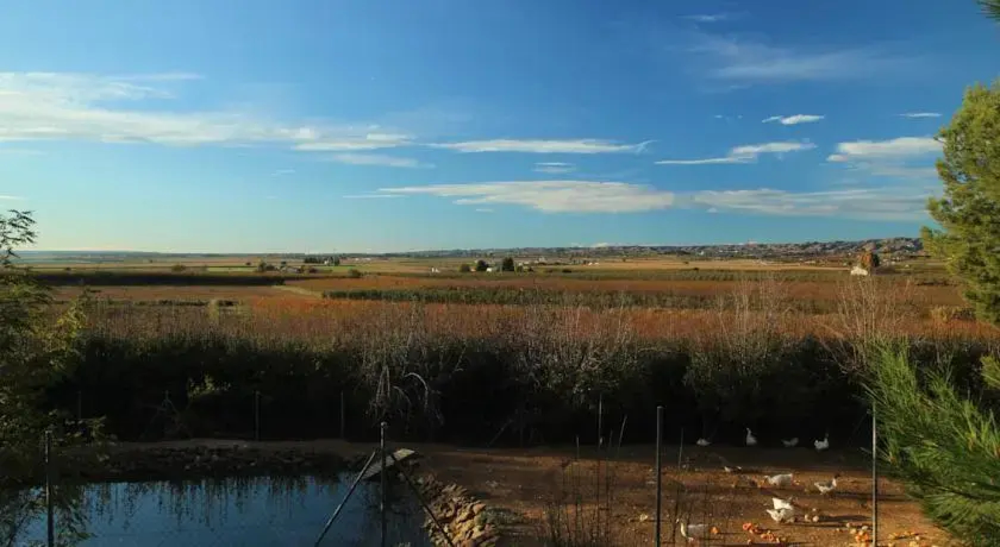 Casa Rural Cal Dalfó