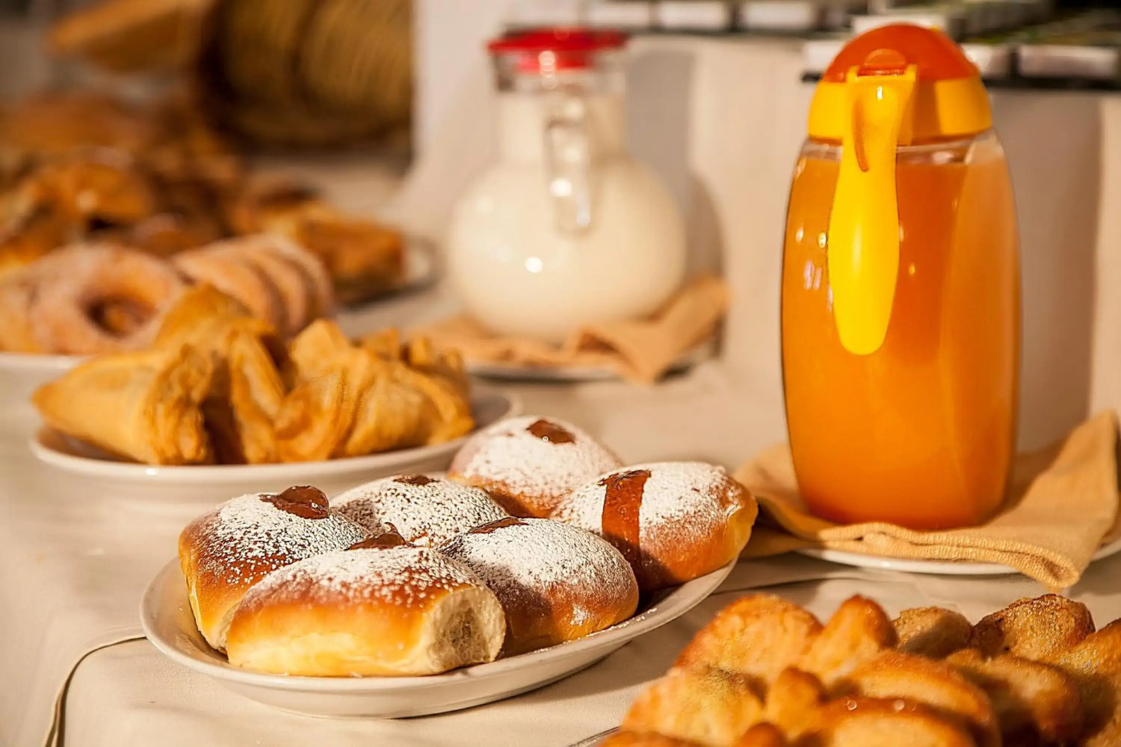 Hotel Terme President