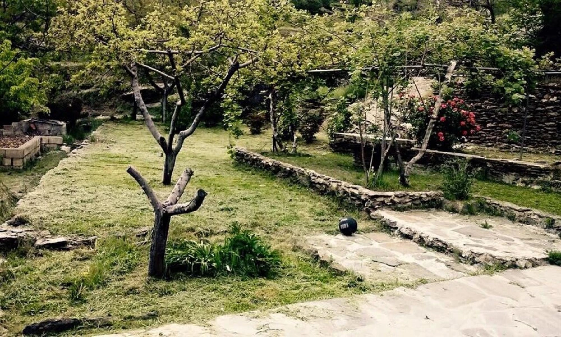 Chalet With 6 Rooms in Portugos, With Wonderful sea View, Private Pool