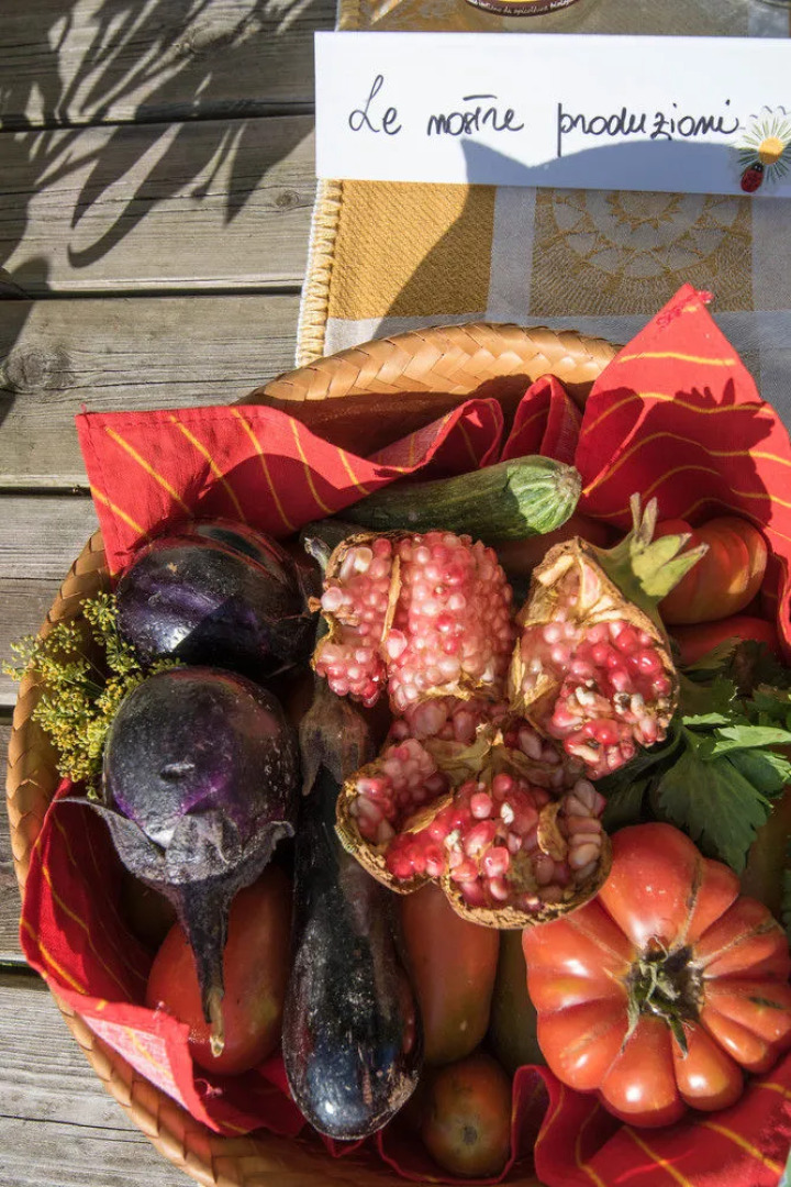 Agriturismo La Coccinella