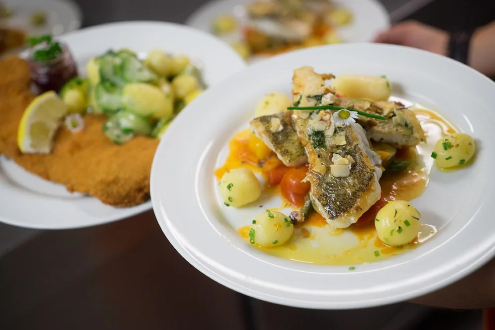 Hotel Bergwirtschaft Bieleboh