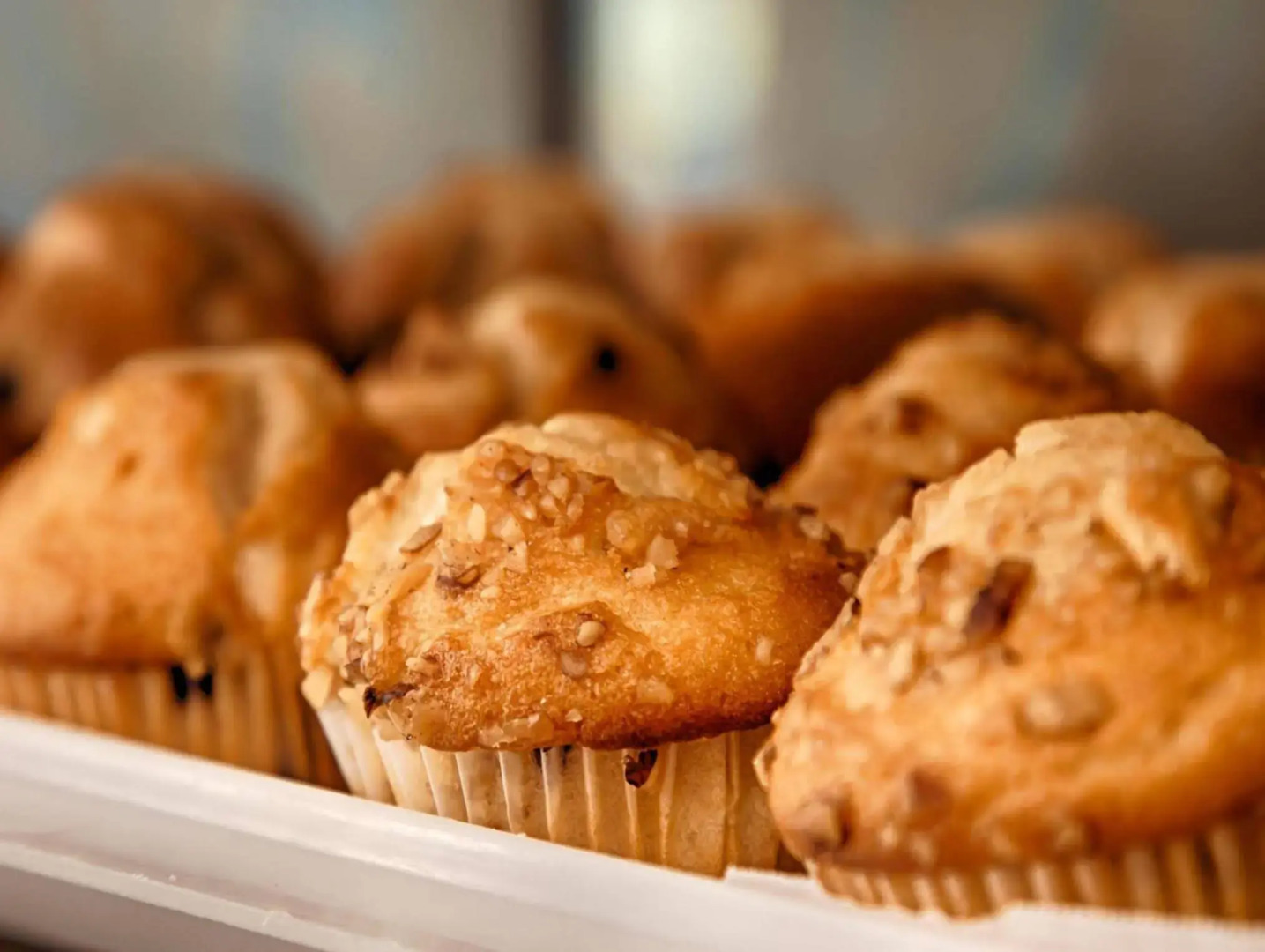 Best Western Franklin Inn