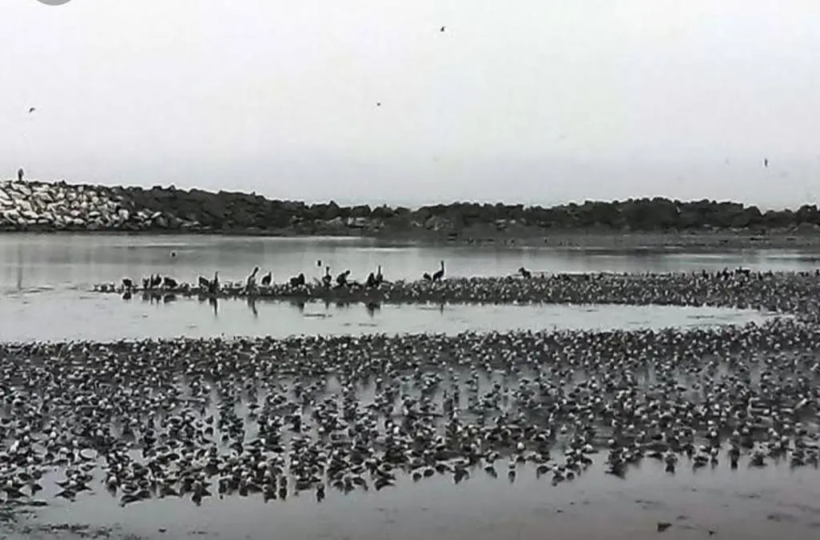 Jirón Tarapacá 398, La Punta - Callao