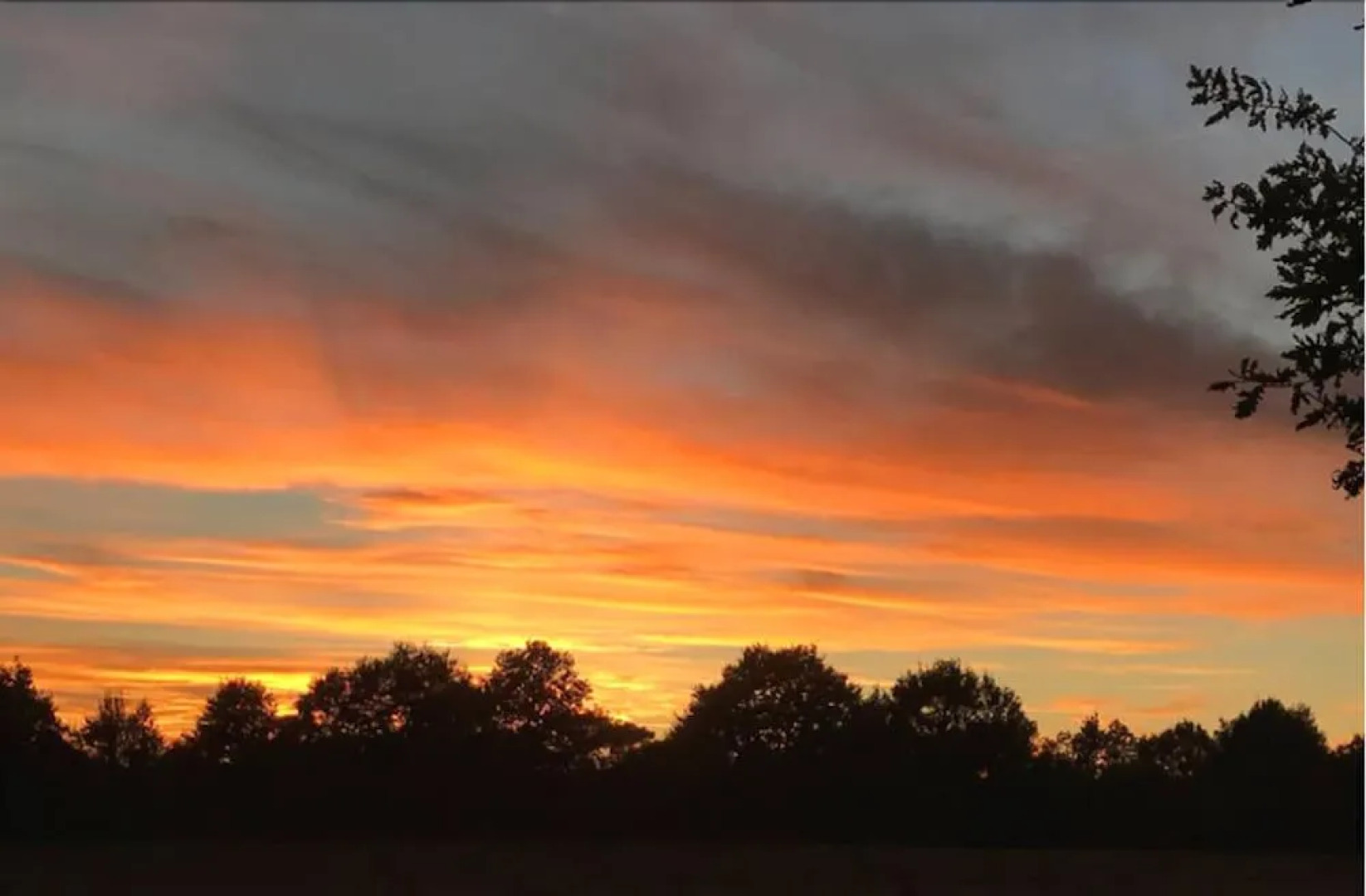 Domaine des Z'Ailés Chambres d'hôtes