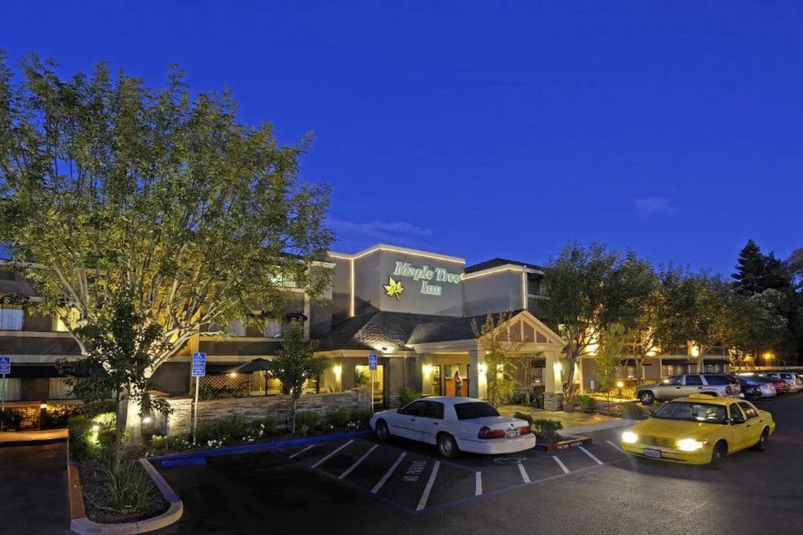 Maple Tree Inn