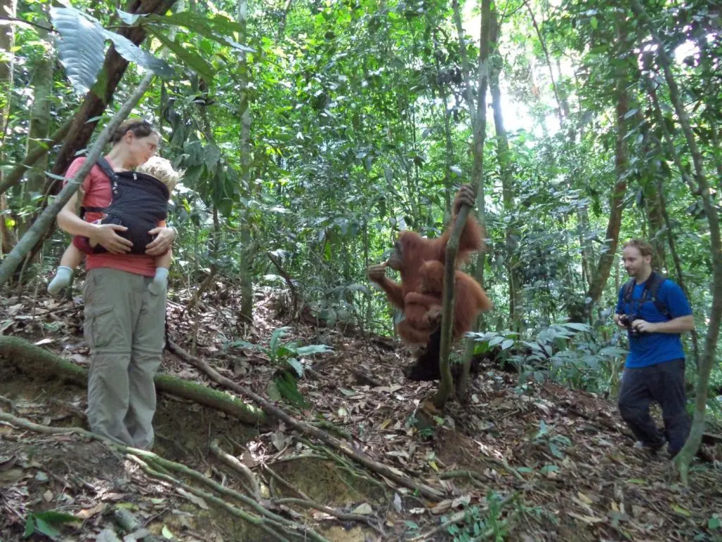 Ida Guest House & Restaurant