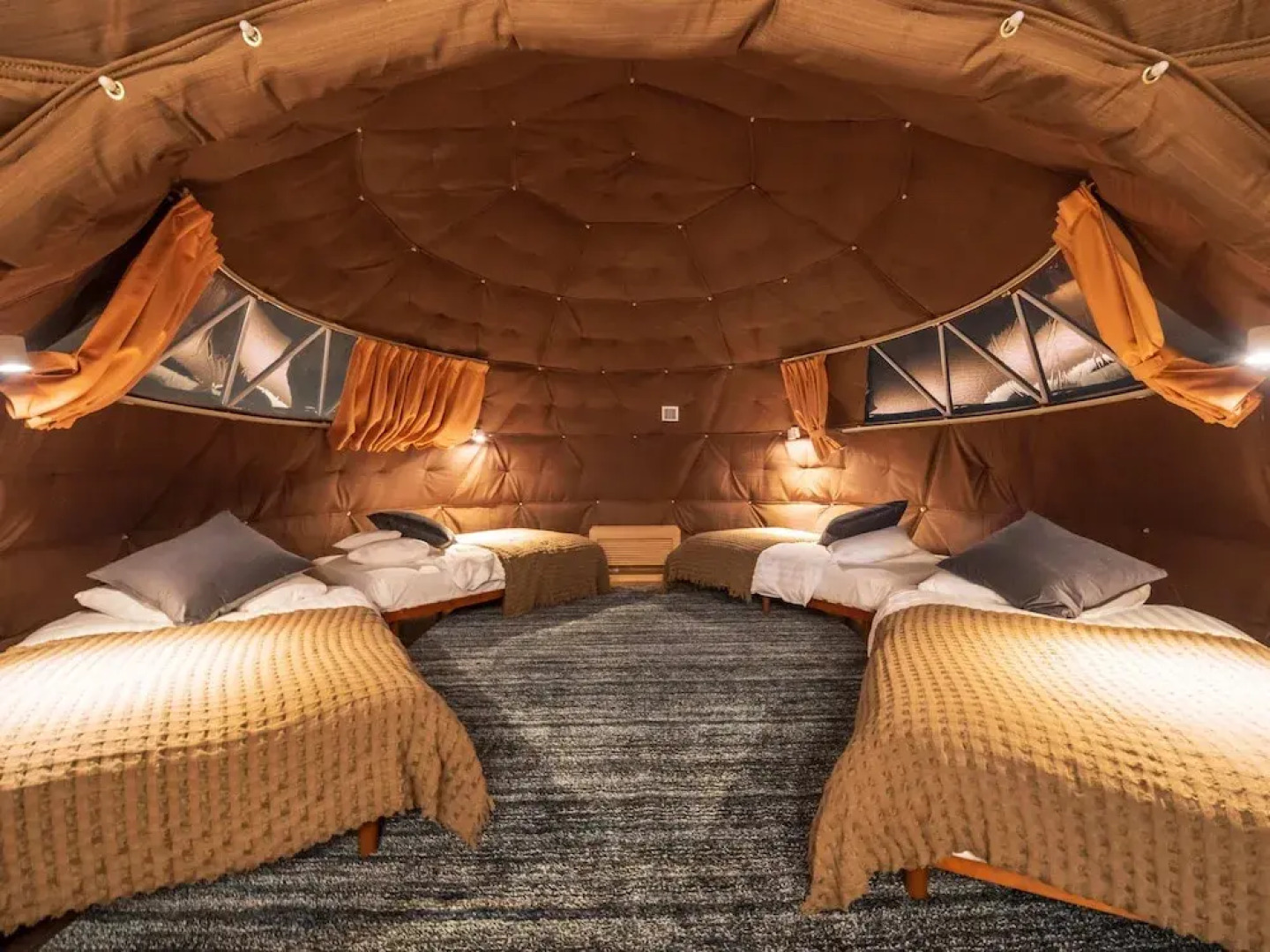 Glamprook Futtsu Bristol Hill