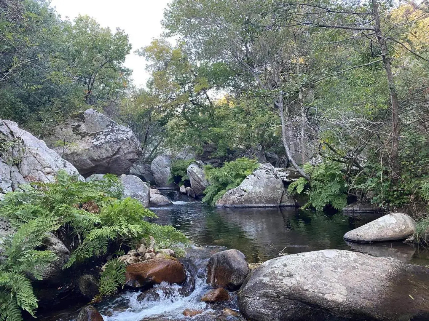Château de Villeneuve