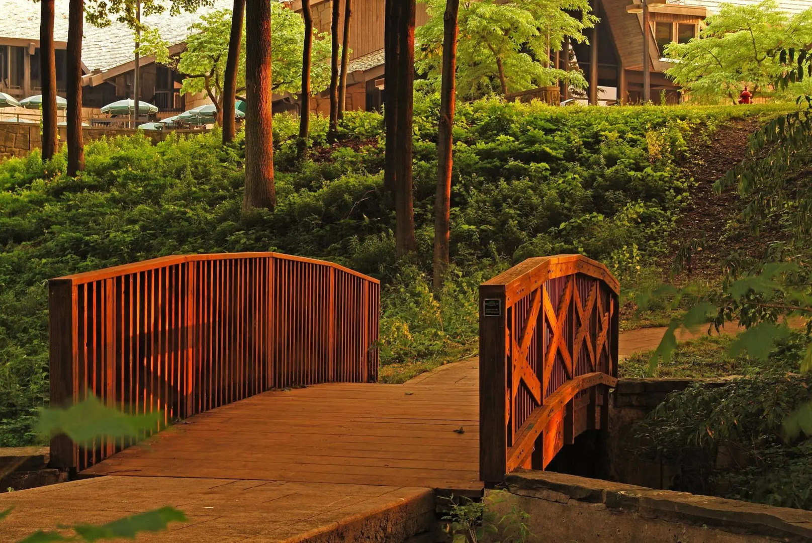 Mohican Lodge and Conference Center