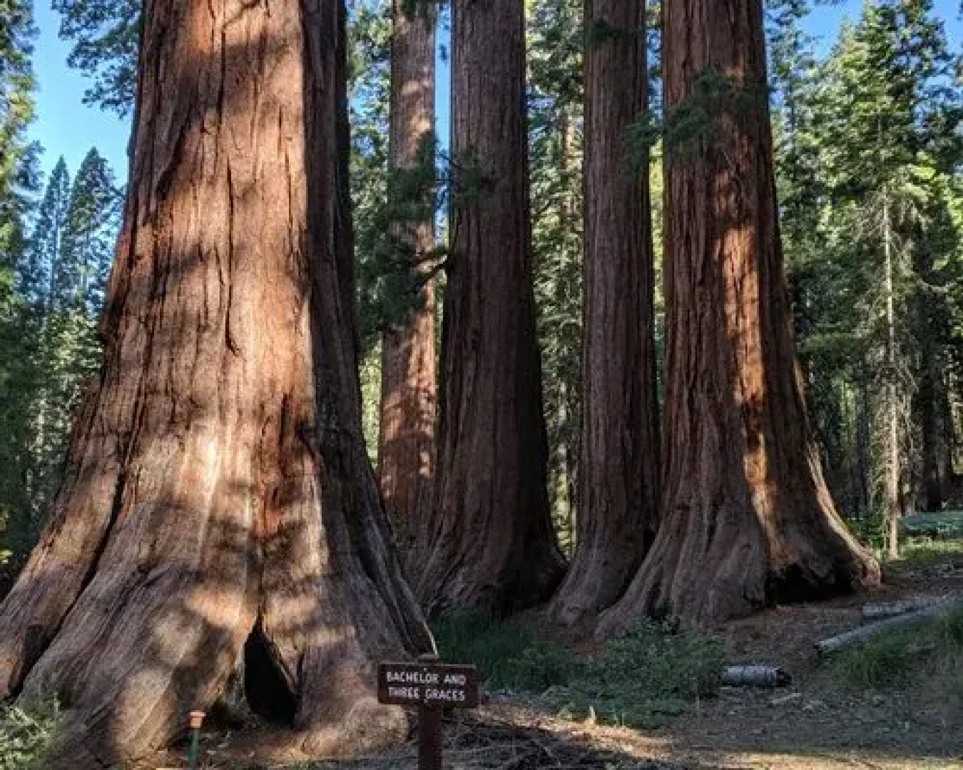 The Pines Resort - 3 Nights, Bass Lake, Usa