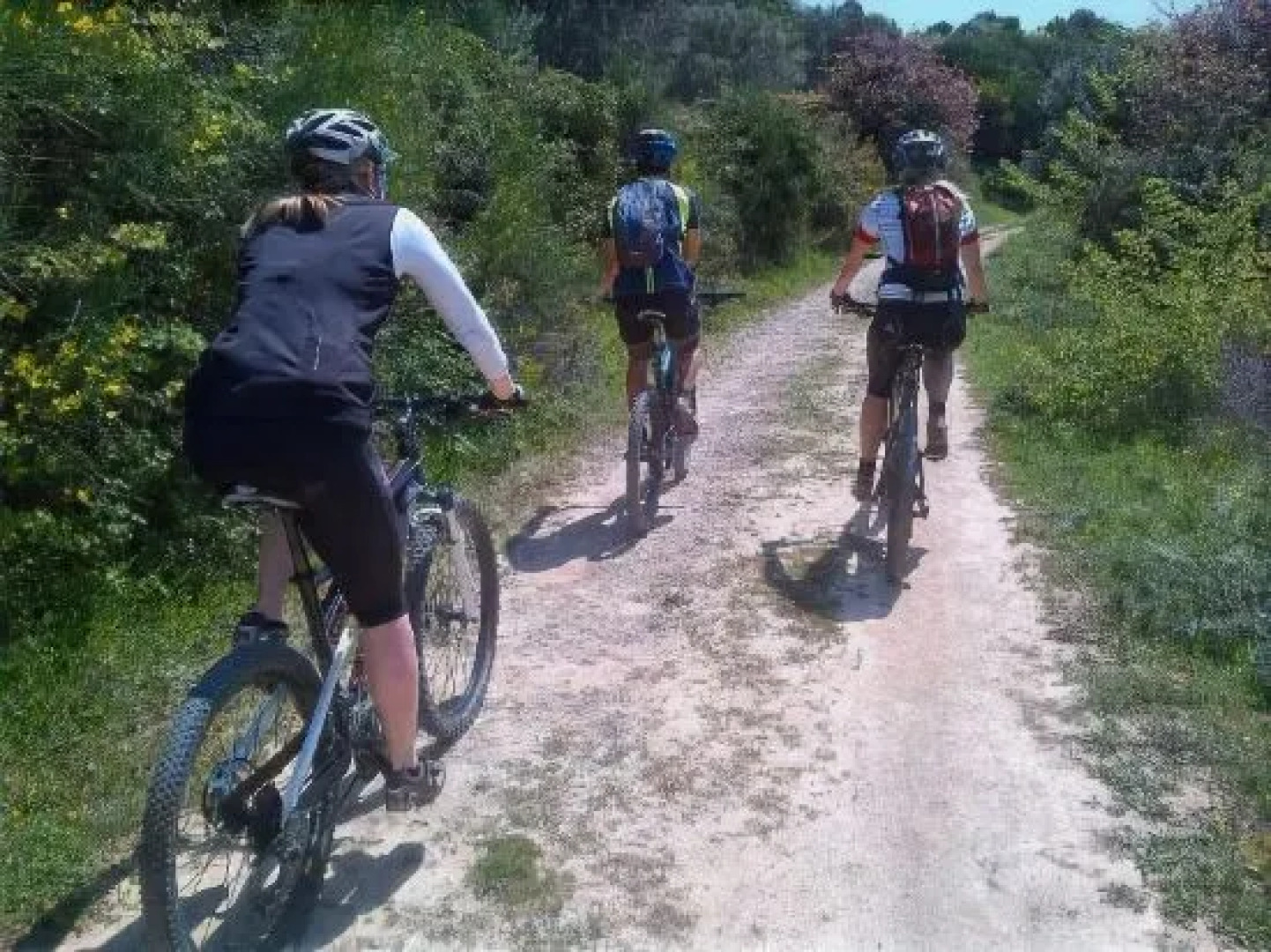 Griffon Kymi Hotel previously known as Valledi Village