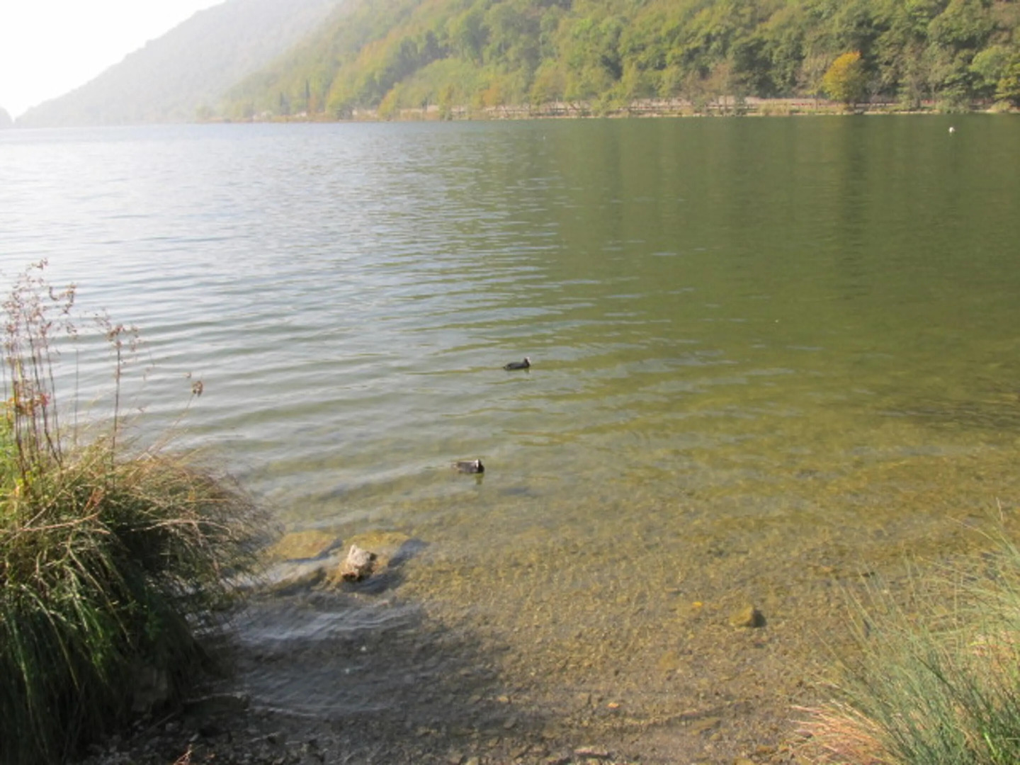 Apartment With one Bedroom in Canzo - 10 km From the Slopes