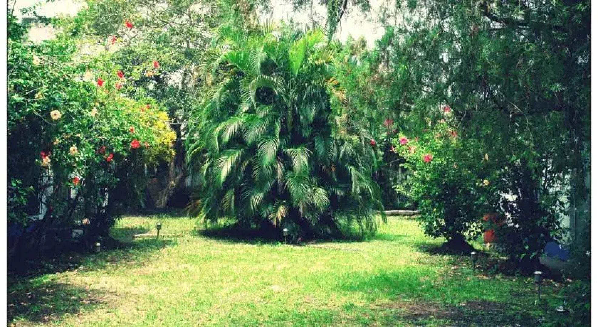 Hostal Cultural Luz de Noche